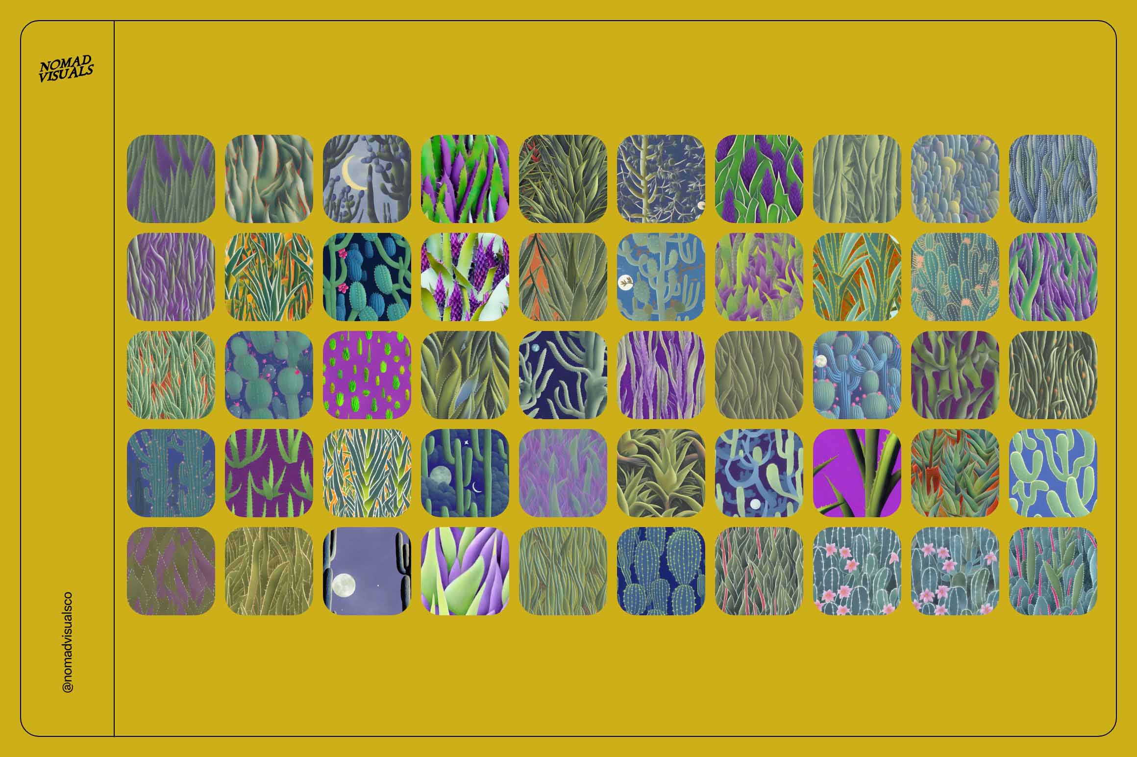 Magic Cactus - Nomad Visuals 9.jpg