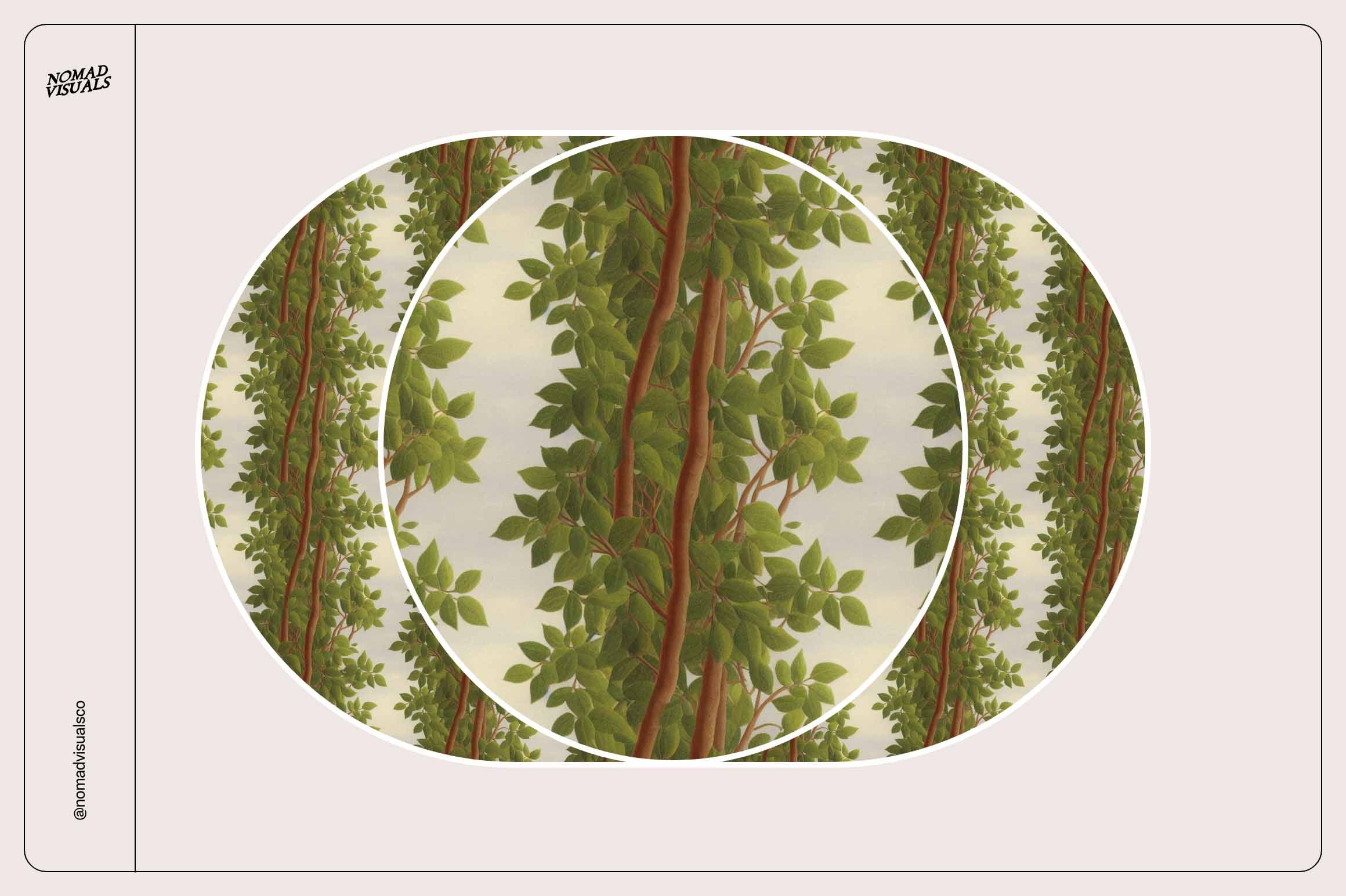 Magic Jungle - Nomad Visuals 13.jpg