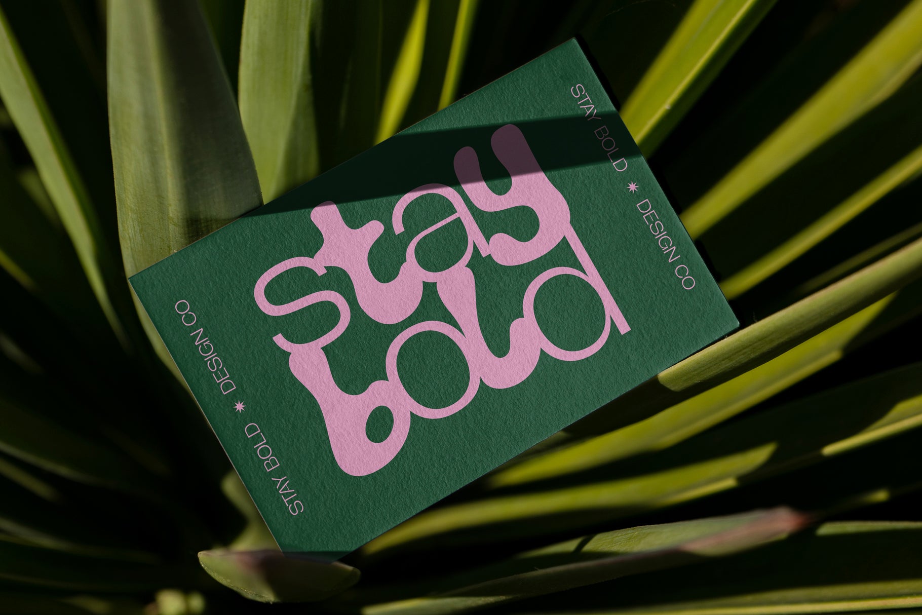 Mocha Bubble+Sans Font Duo - Set Sail Studios 1.jpg