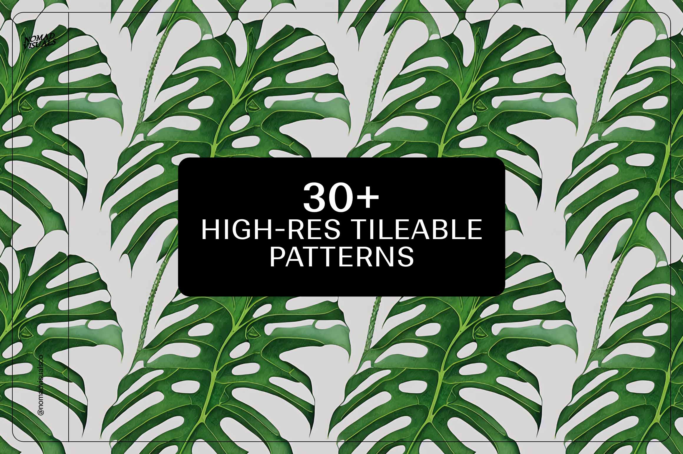 Monstera Tropical Collection - Nomad Visuals 10.jpg