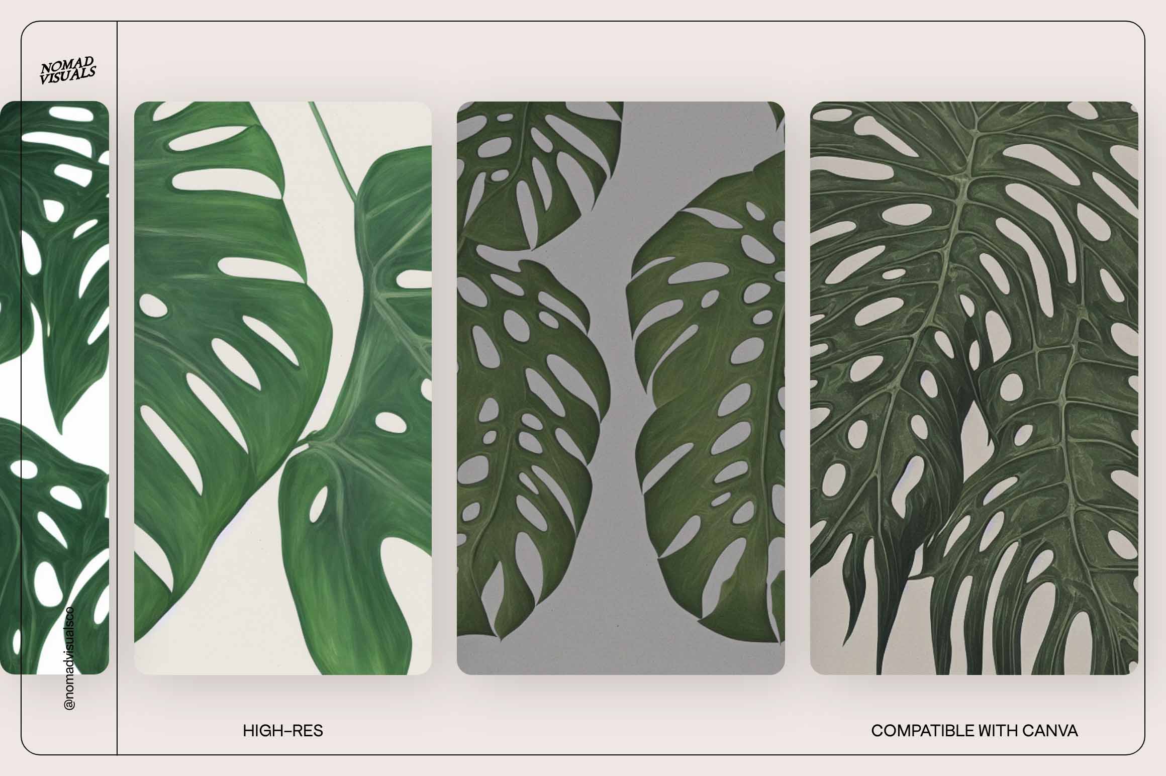 Monstera Tropical Collection - Nomad Visuals 16.jpg