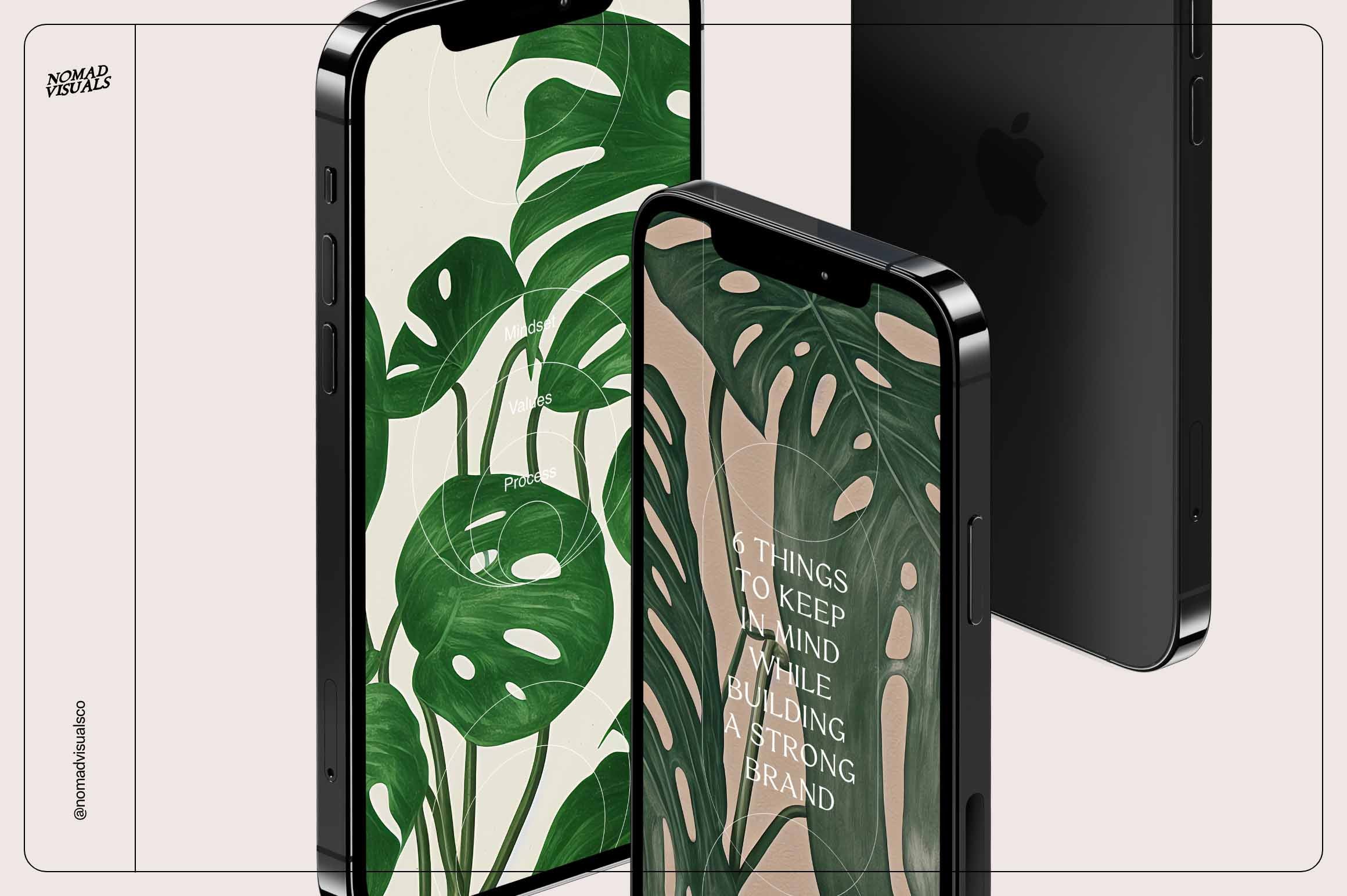 Monstera Tropical Collection - Nomad Visuals 17.jpg