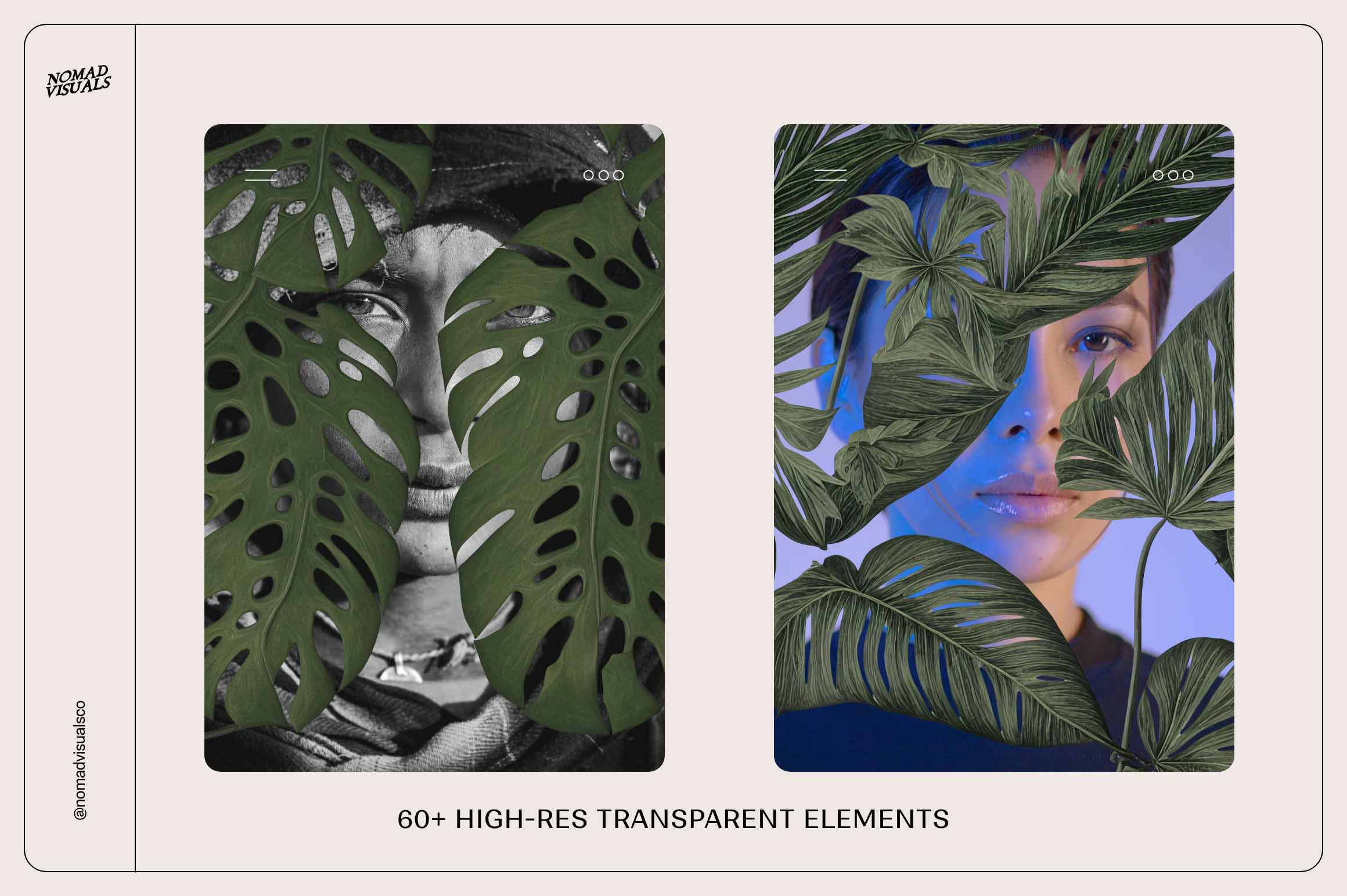 Monstera Tropical Collection - Nomad Visuals 3.jpg