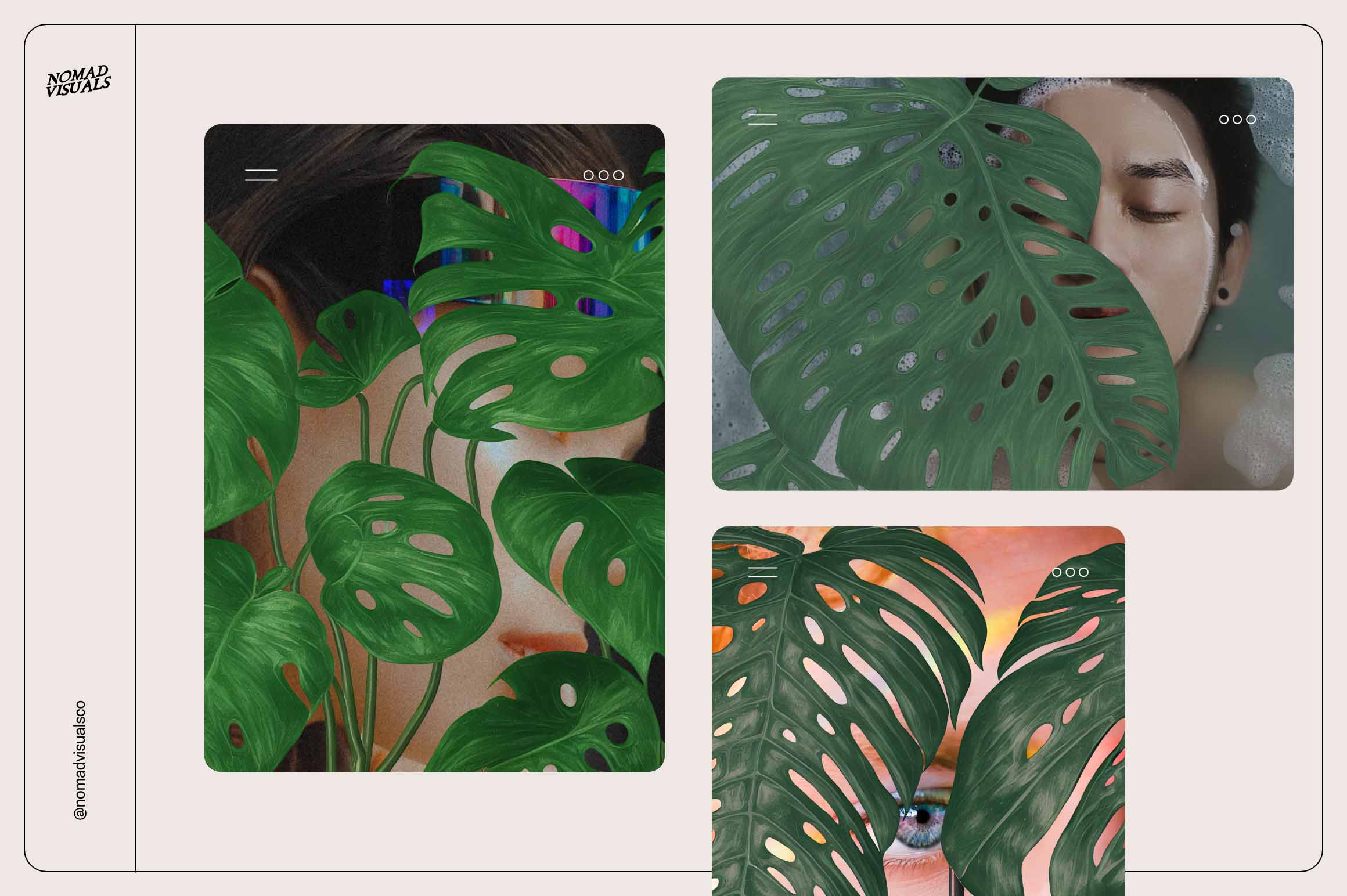 Monstera Tropical Collection - Nomad Visuals 4.jpg