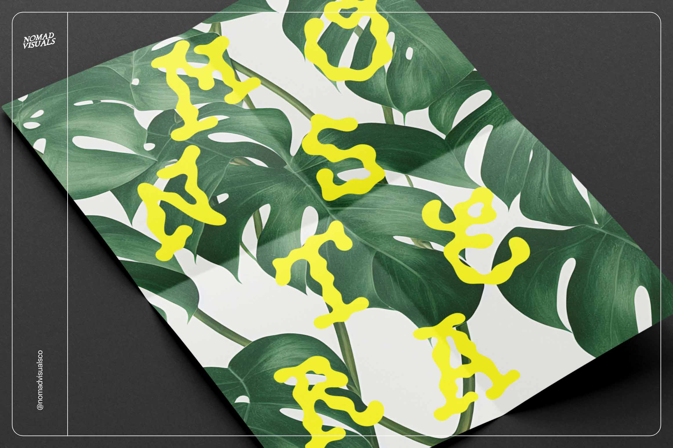 Monstera Tropical Collection - Nomad Visuals 6.jpg