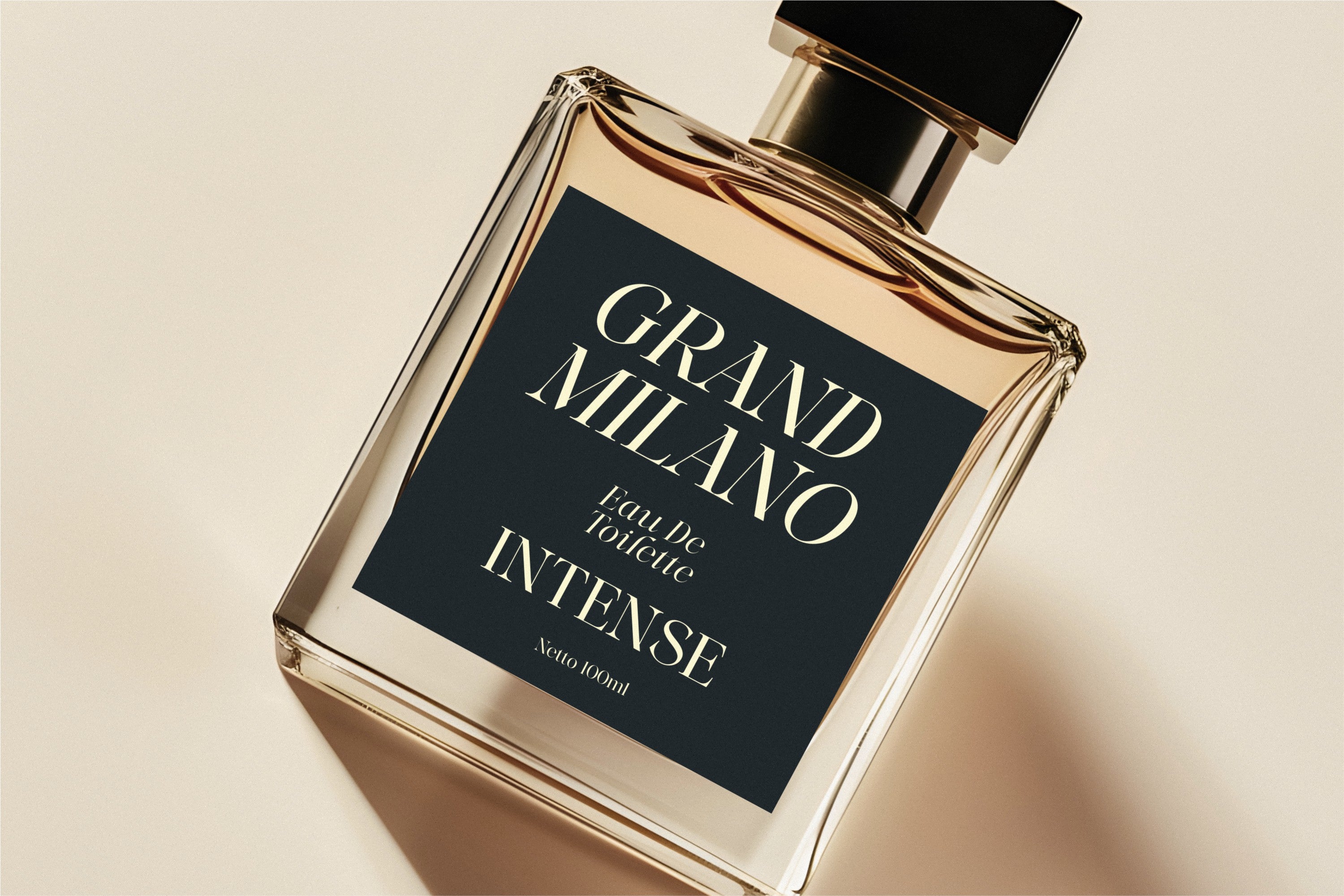 More Light - Genetypeco 4.jpg