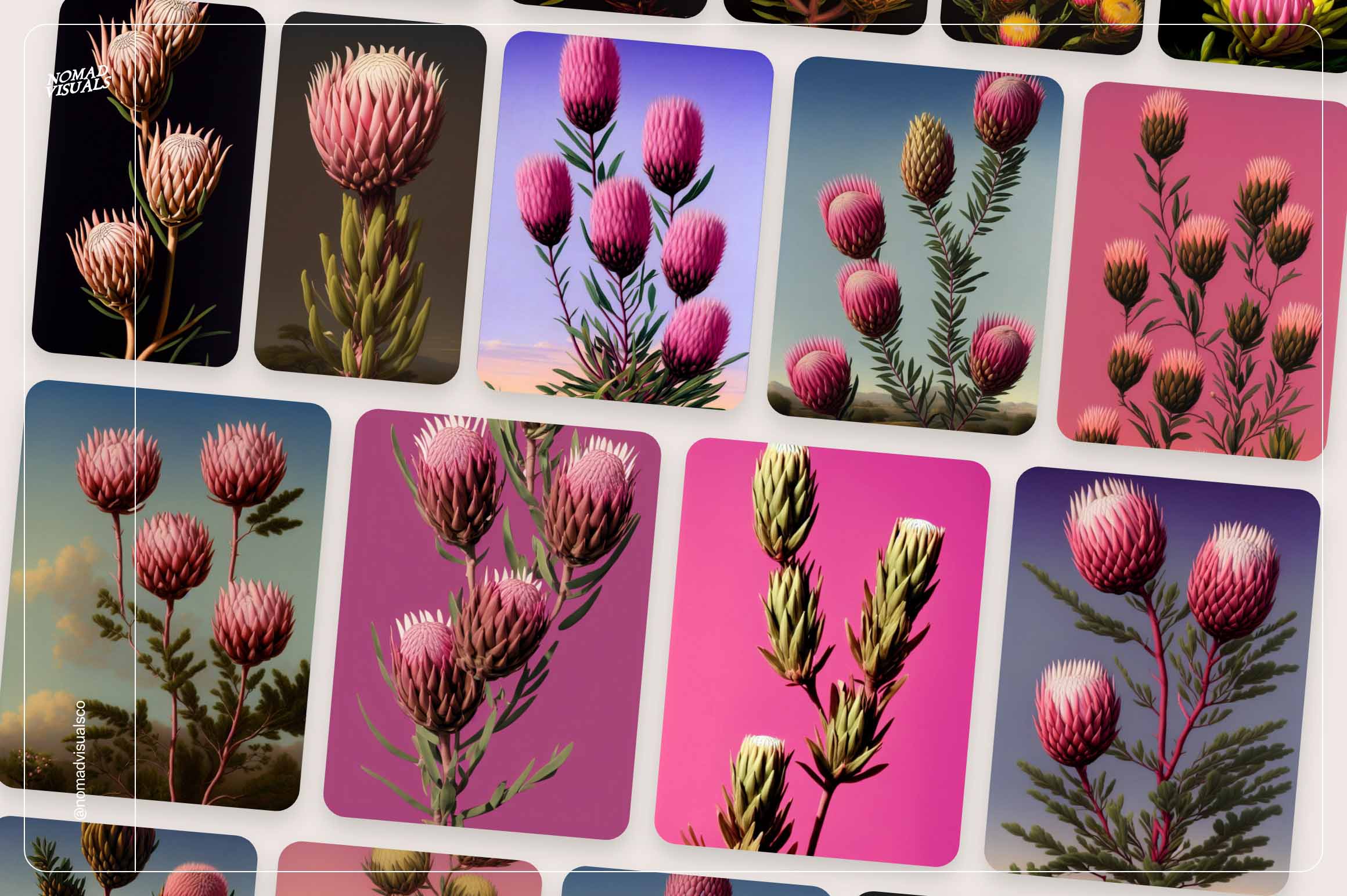 Mystic Flowers - Nomad Visuals 11.jpg