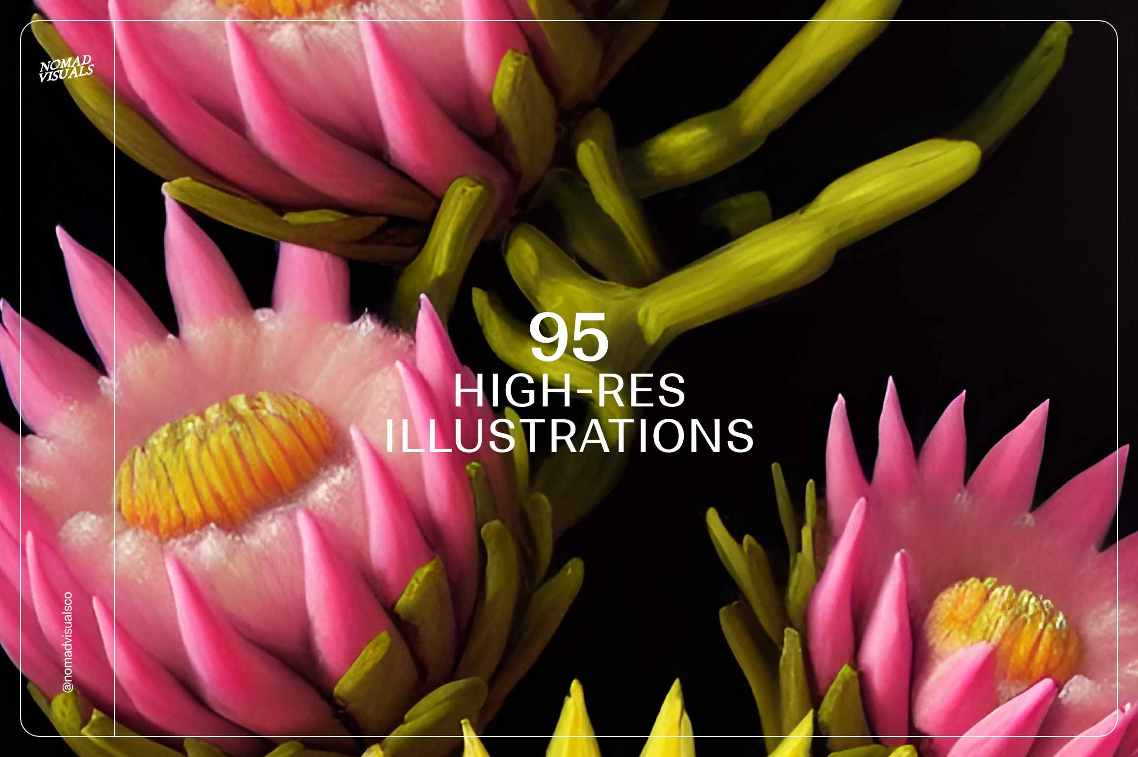 Mystic Flowers - Nomad Visuals 15.jpg