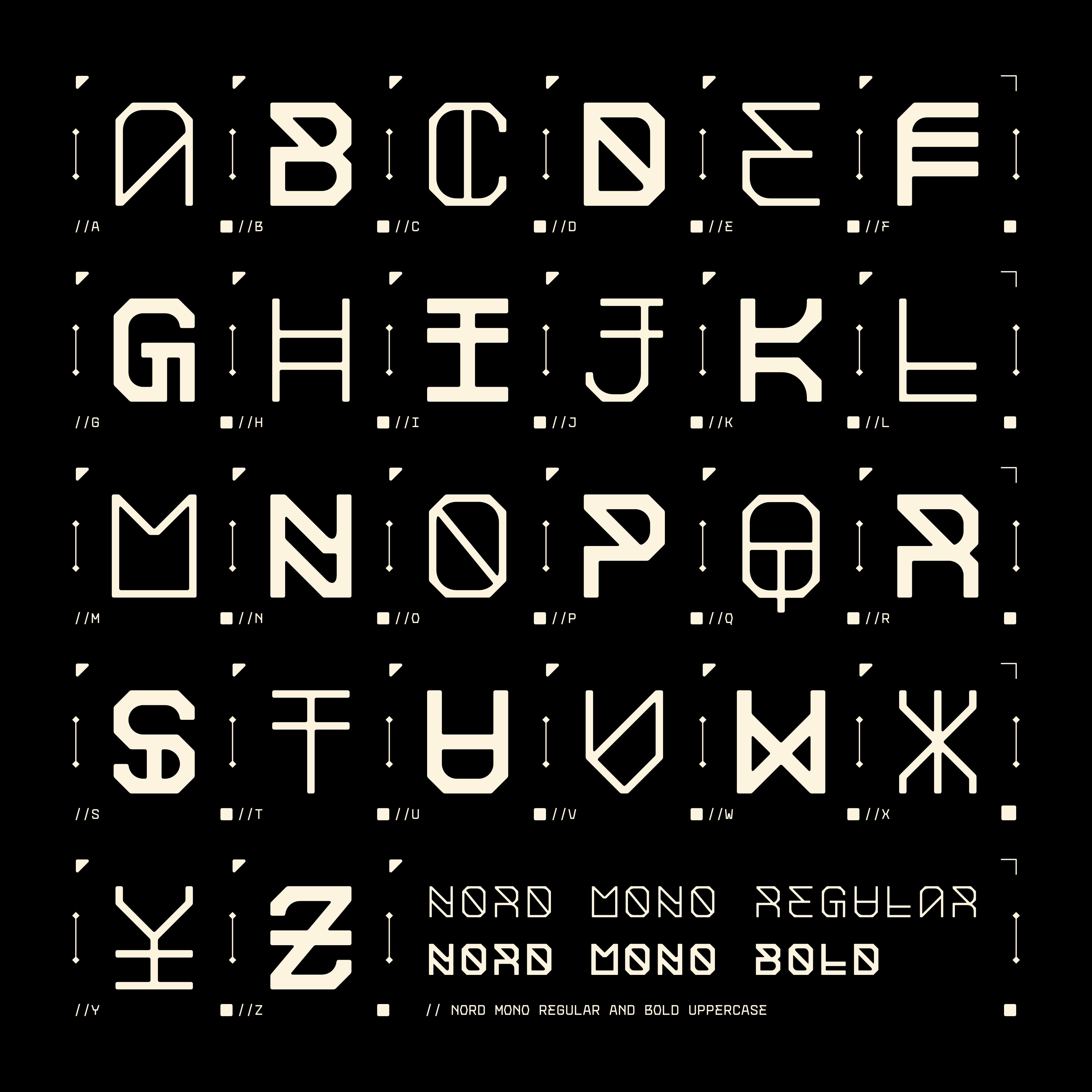 NORD MONOSPACED TYPEFACE FAMILY - Font For Zula™ 4.png