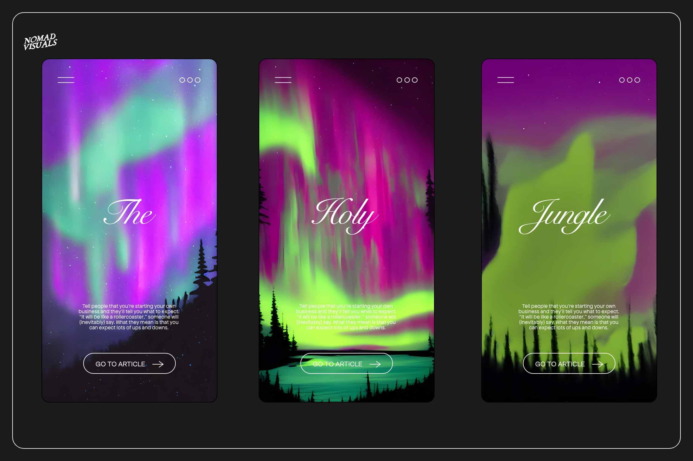 Northern Lights - Nomad Visuals 10.jpg