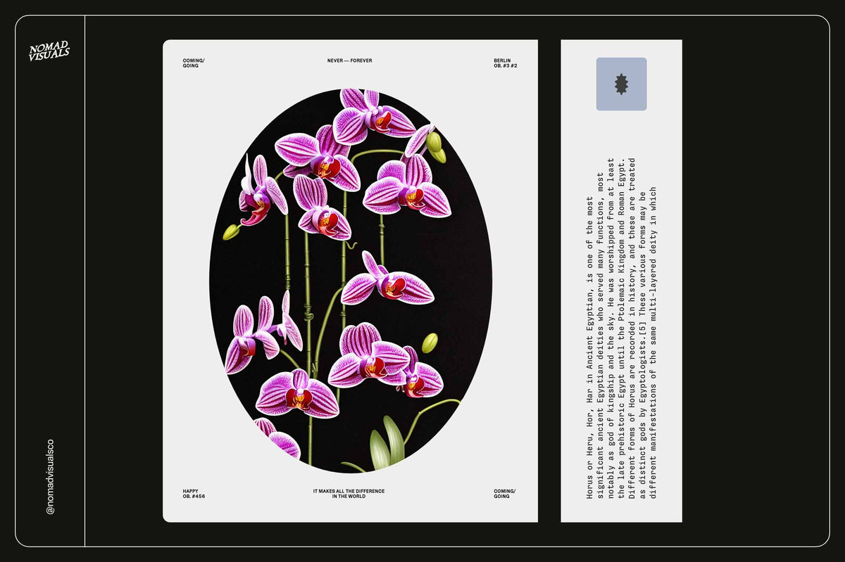 Orchids - Nomad Visuals 14.jpg