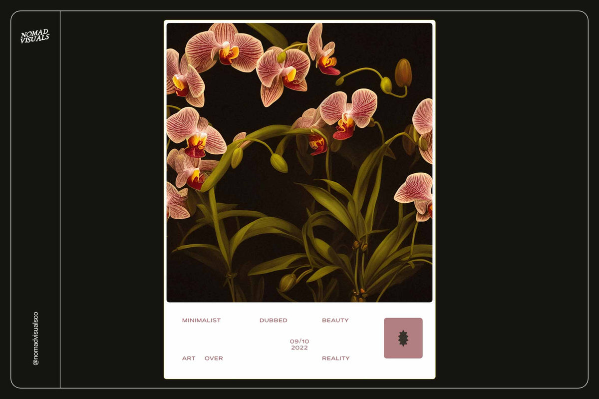 Orchids - Nomad Visuals 18.jpg