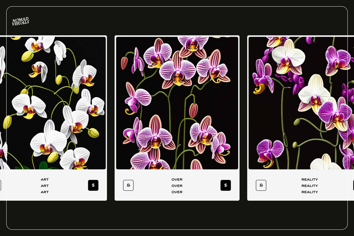 Orchids - Nomad Visuals 19.jpg