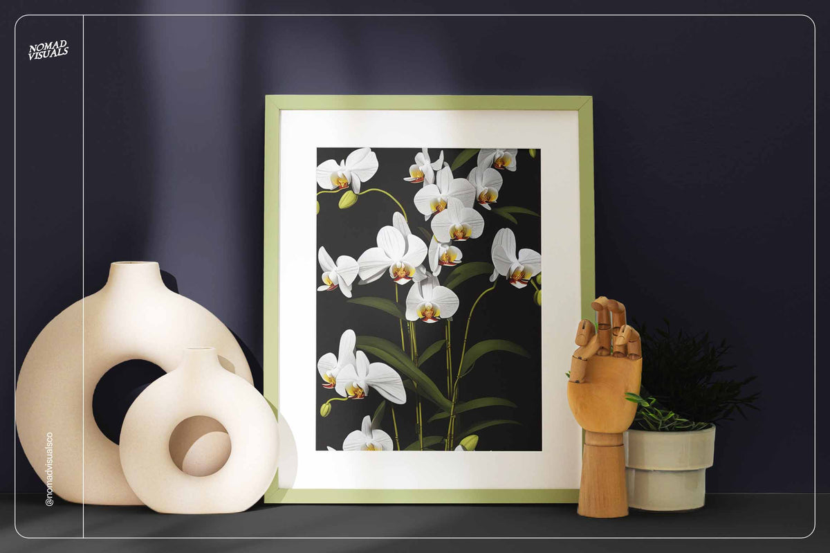Orchids - Nomad Visuals 7.jpg