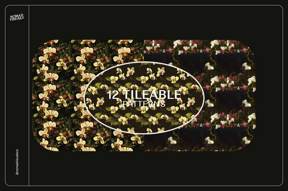 Orchids - Nomad Visuals 9.jpg