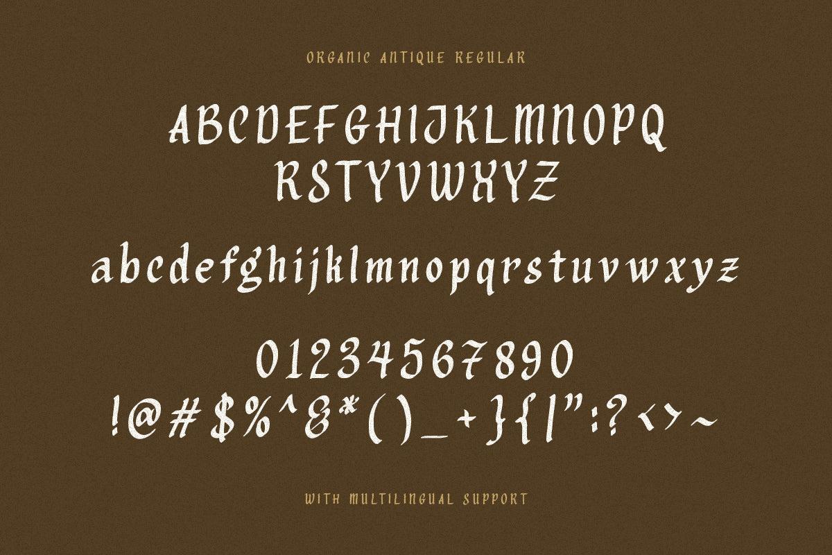 Organic Antique - Blackletter Fonts - Sarid Ezra 7.jpg