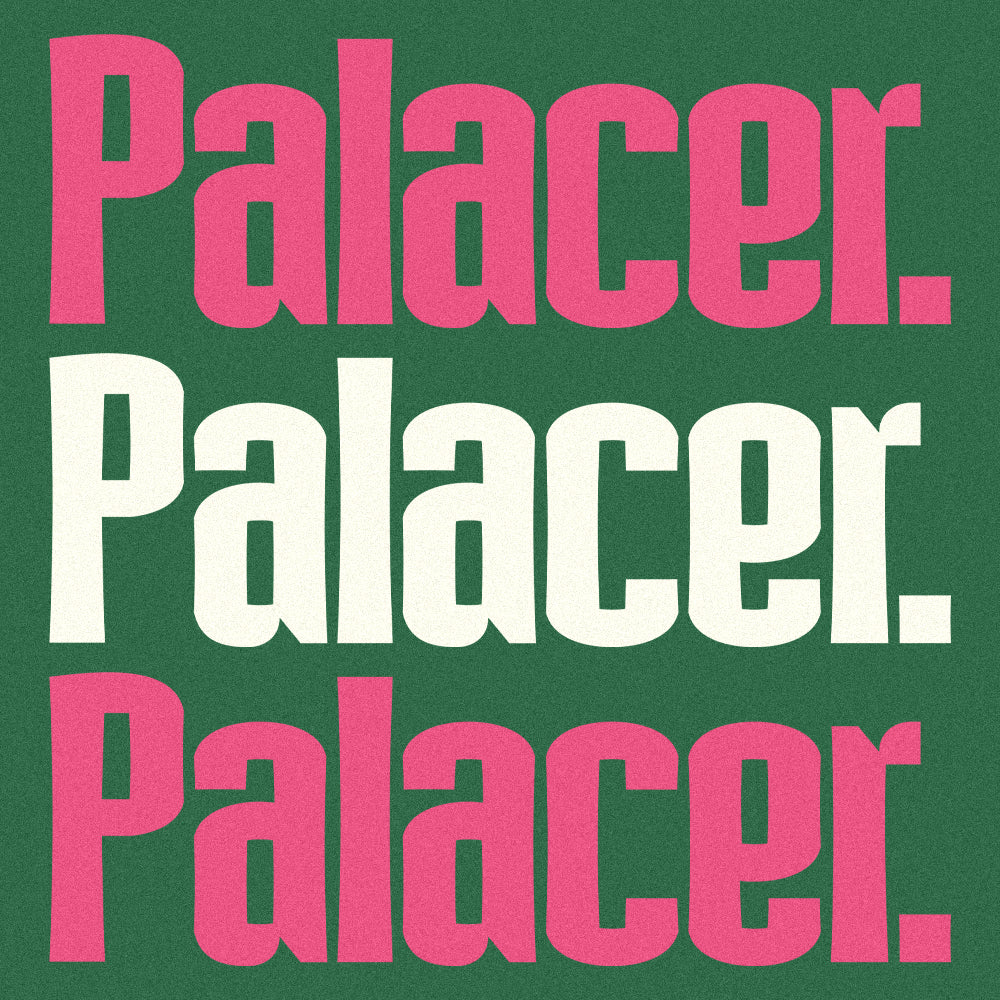 Palacer - Modern Display Font - Typeparties 1.png