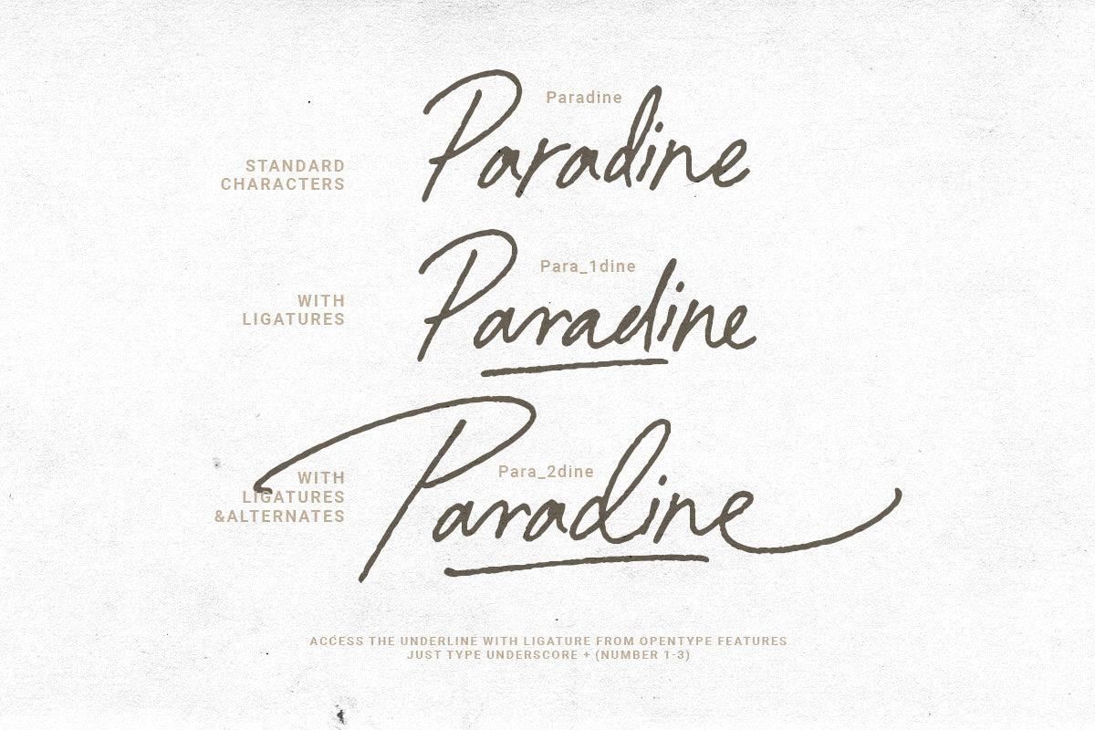 Paradine - Ligature Handwritten Font - Sarid Ezra 11.jpg