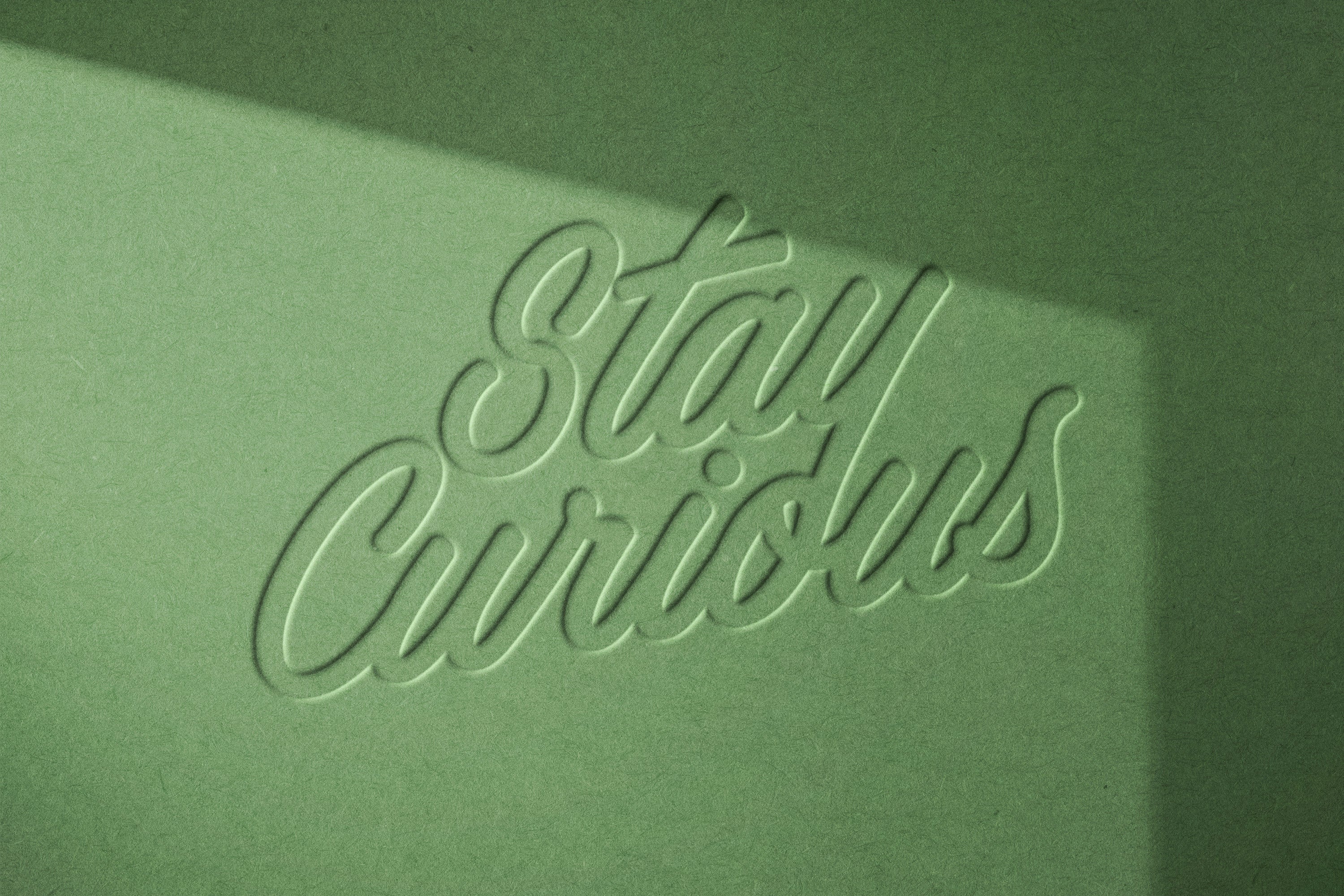 Pressed Paper Debossing & Embossing Mockup - Pixelbuddha 2.jpg
