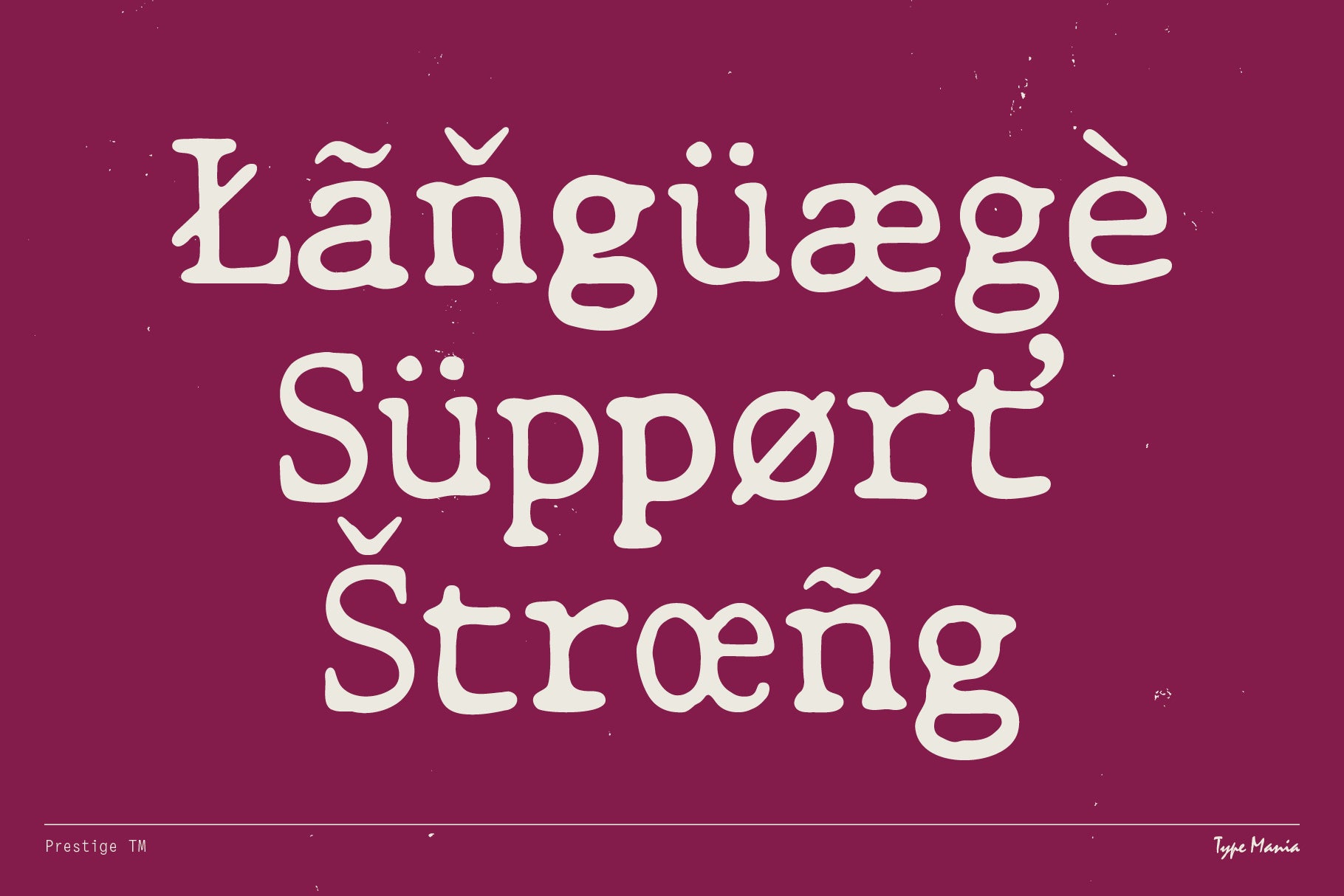 Prestige TM - Type Mania 5.jpg