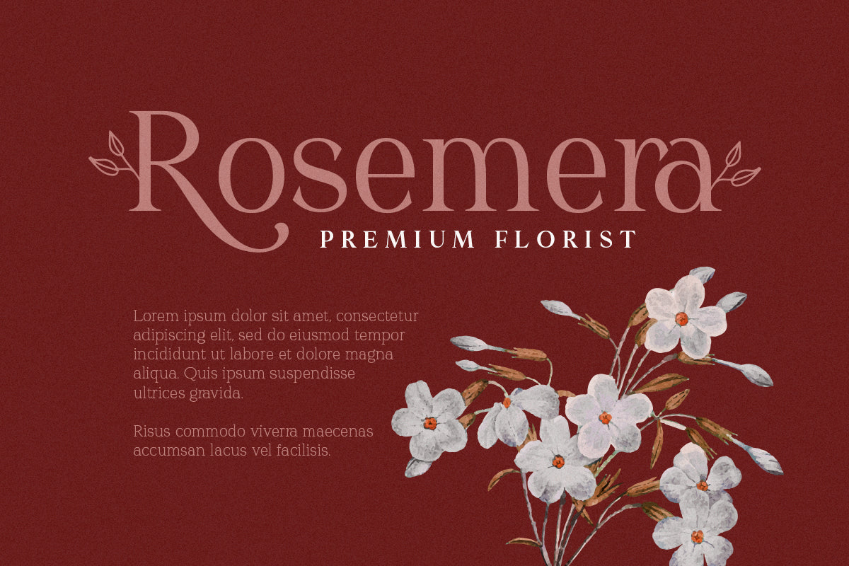 Redrains - Modern Serif Family - Sarid Ezra 2.jpg