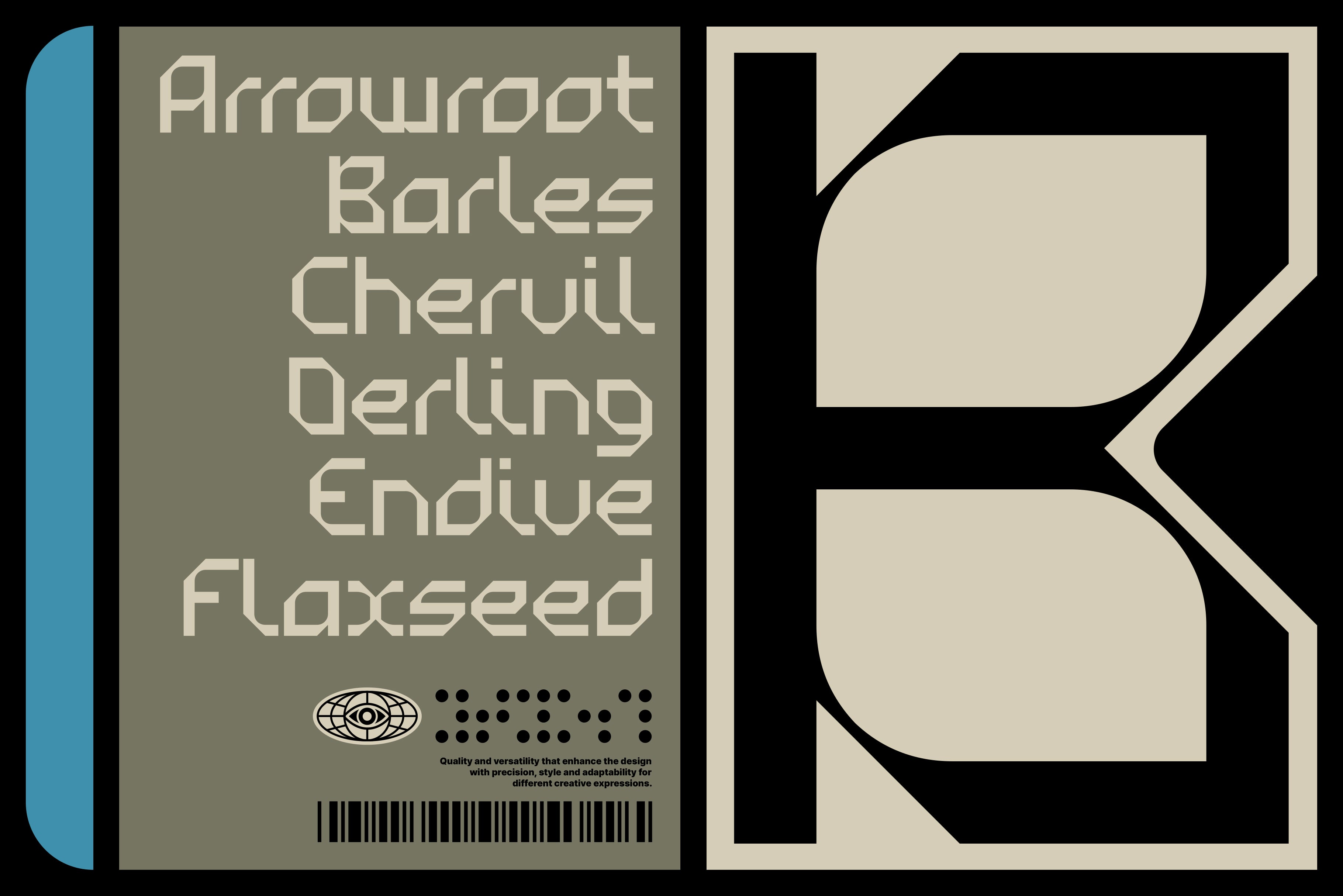 Satura Display Typeface Family - God Control 10.jpg