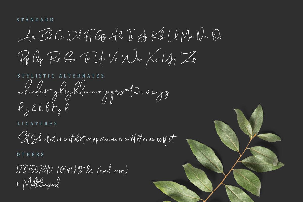 Scarlette Script - Sarid Ezra 11.jpg