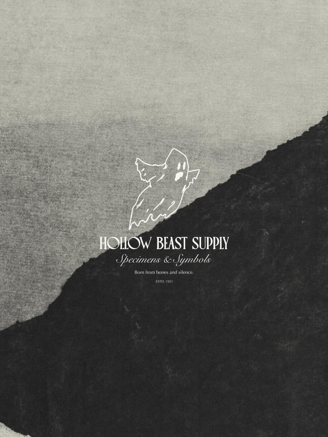 Shadows Crowned - AiahHassn 6.png