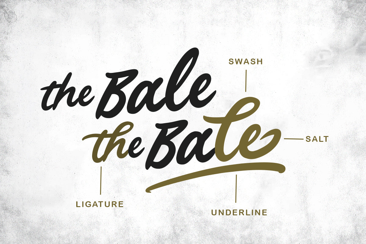 Slogan Mark - Bold Script - Sarid Ezra 7.jpg