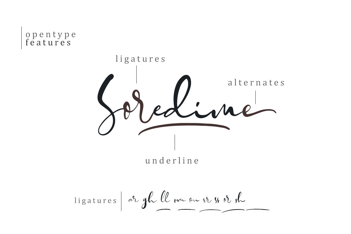 Soredime - Signature Script - Sarid Ezra 1.jpg