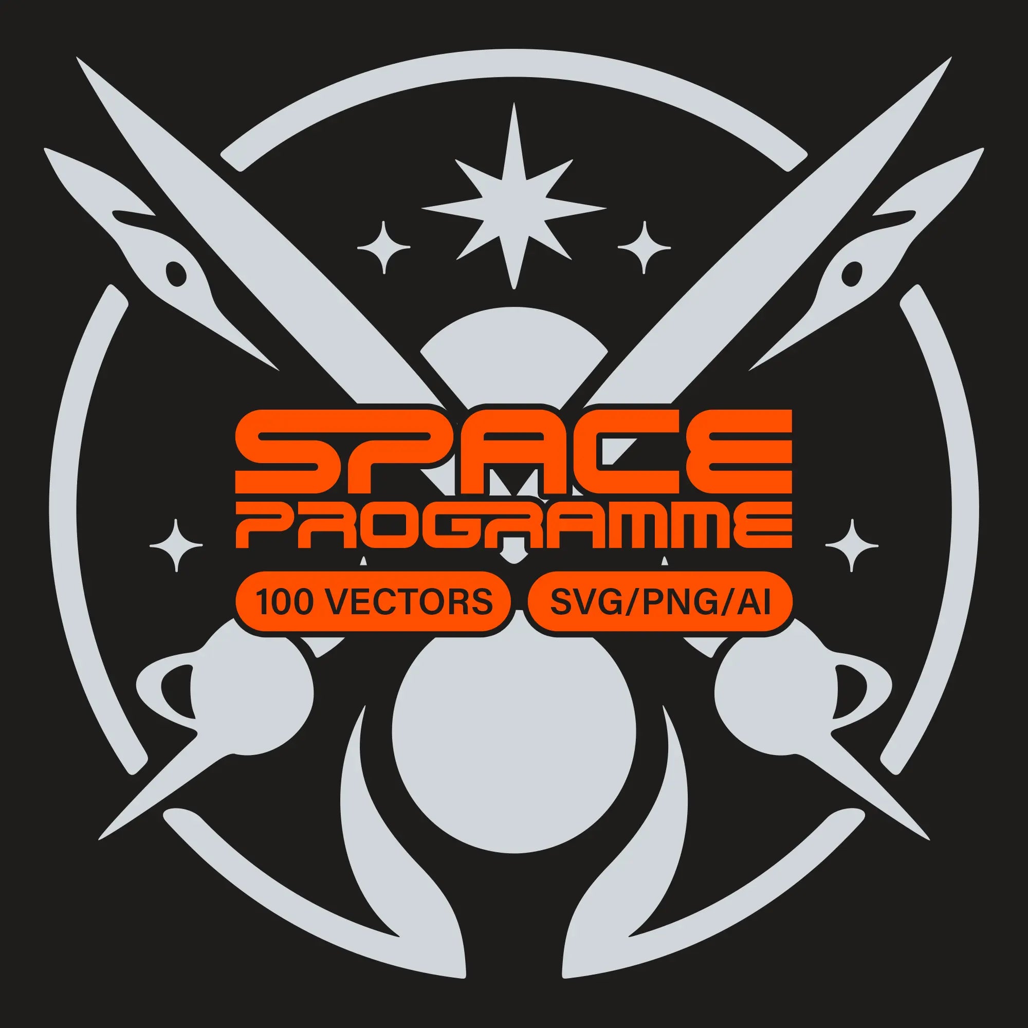 Space Programme Vectors - Fox Rockett Studio 1.webp