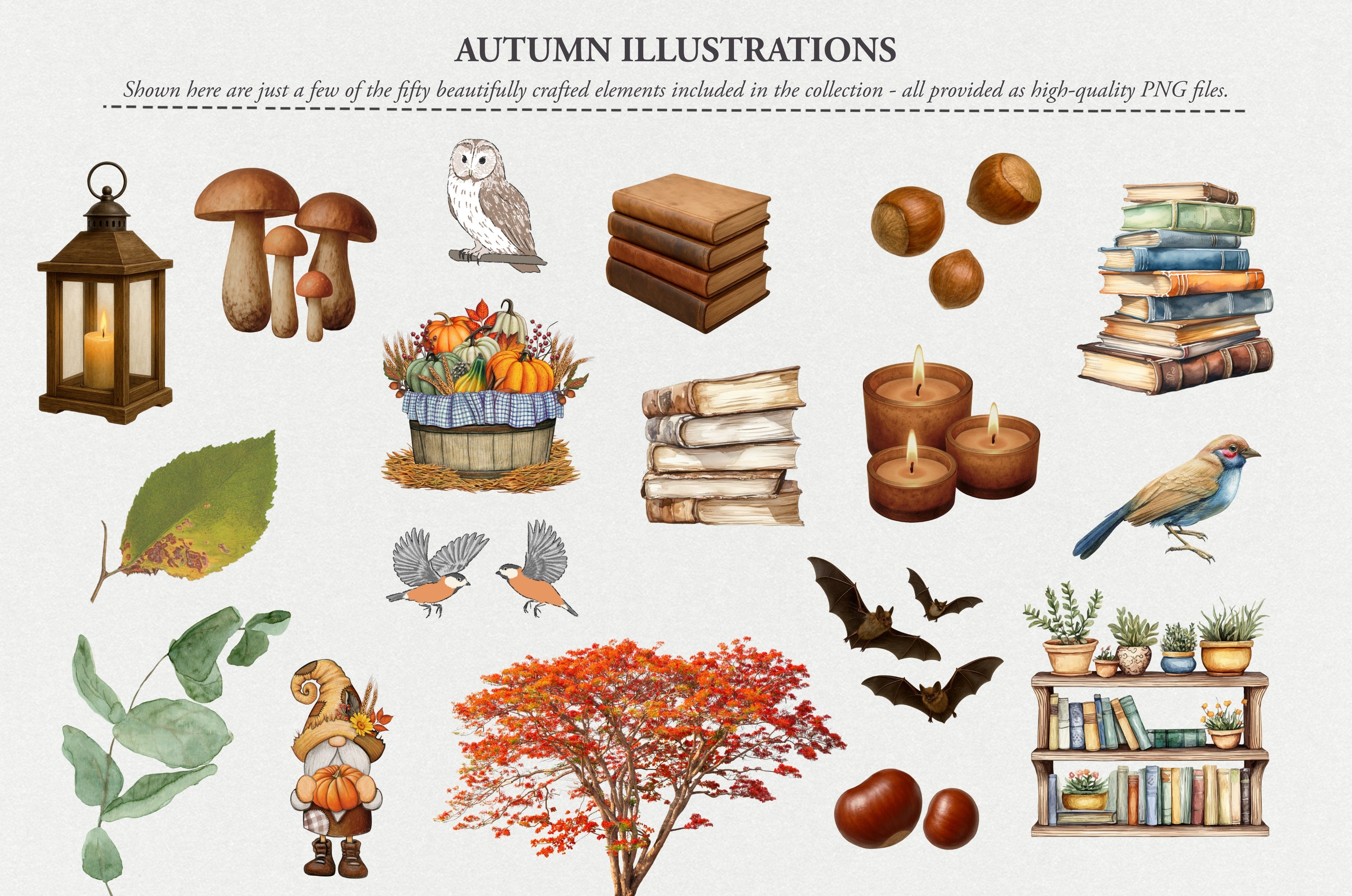 The Autumn Collage Creator (330+ Elements) - Digi Life 1.jpg