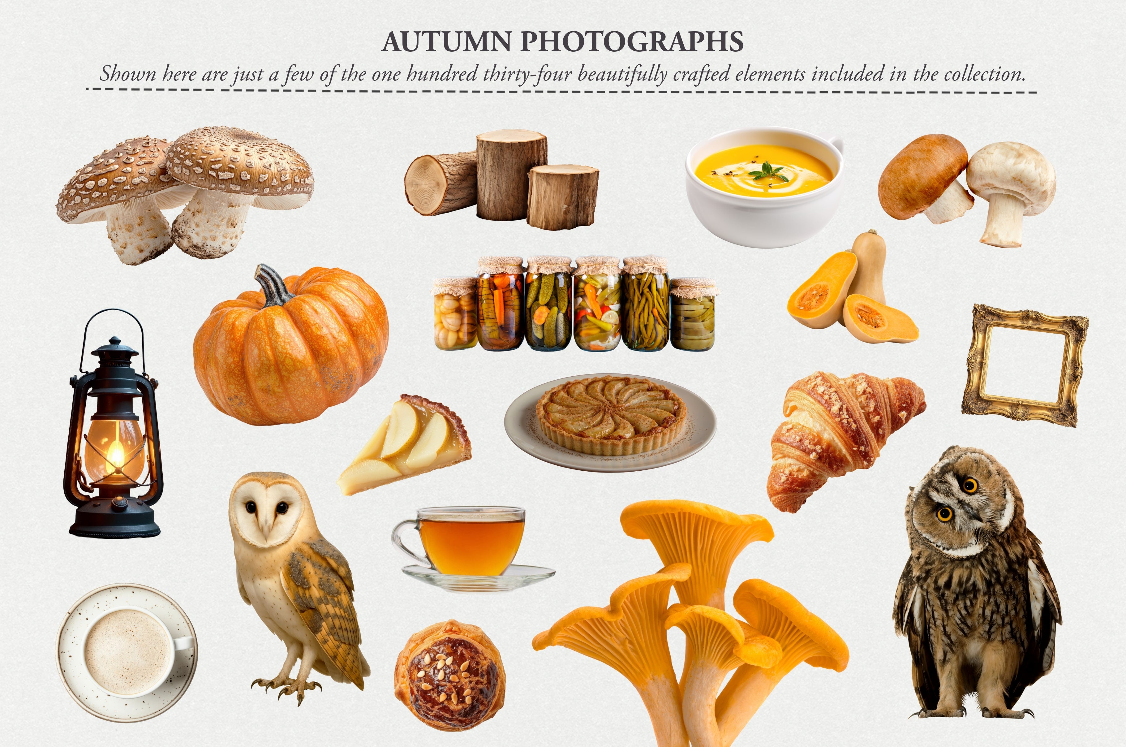 The Autumn Collage Creator (330+ Elements) - Digi Life 3.jpg