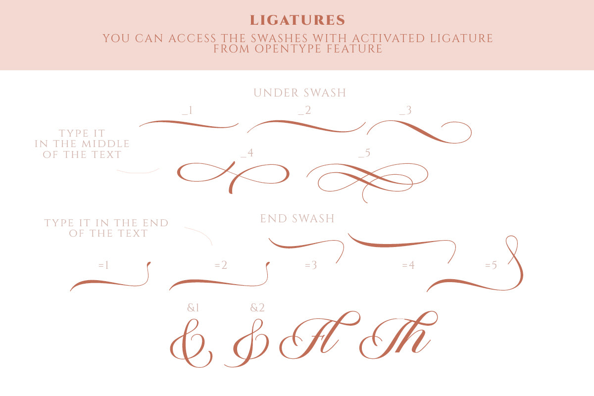 The Postgates - An Essential Script - Sarid Ezra 8.jpg