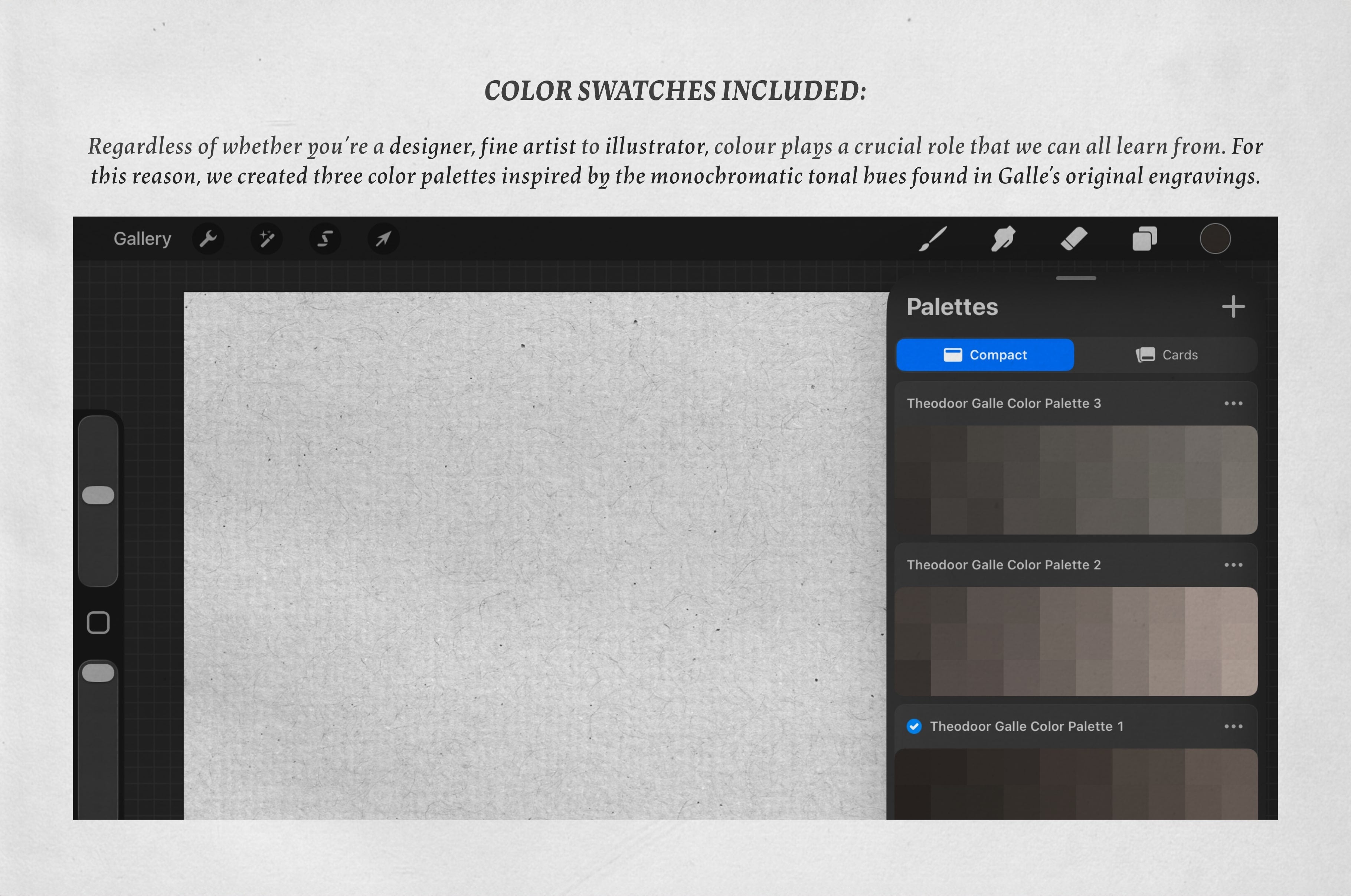 Theodoor Galle Procreate Kit - Digi Life 8.jpg