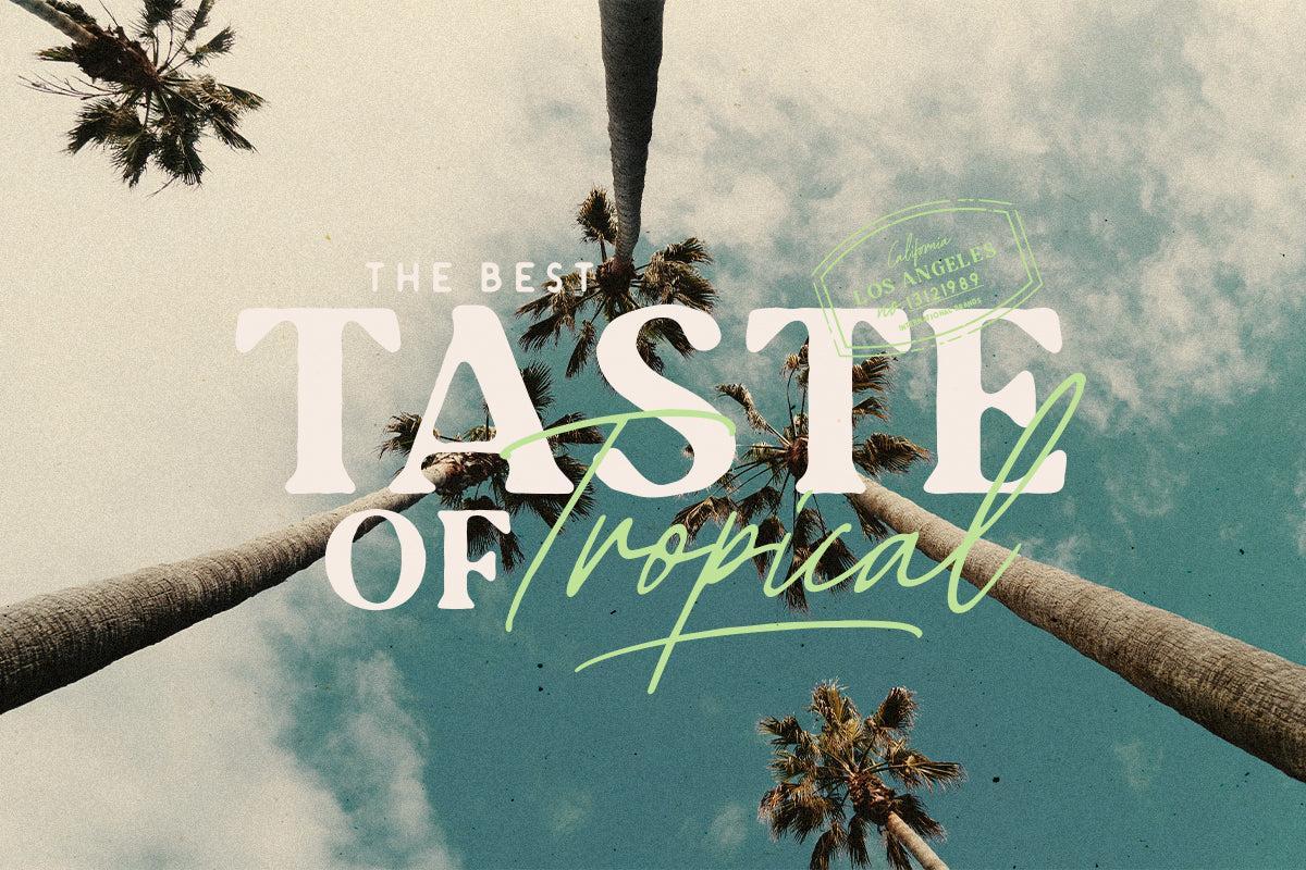 Tropica Gardens - Font Trio (+LOGOS) - Sarid Ezra 3.jpg