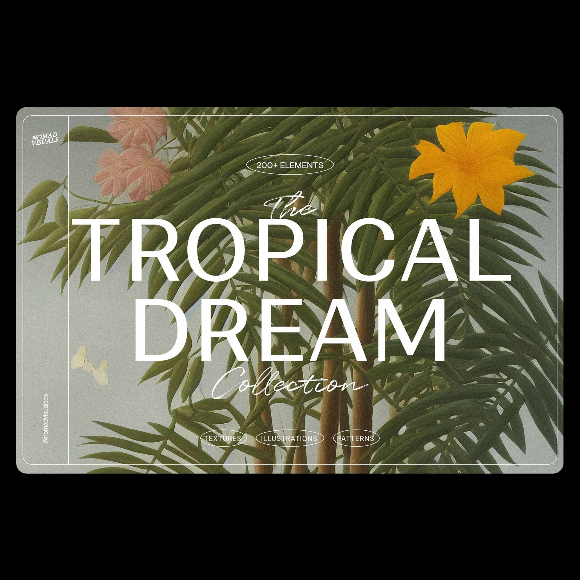 Tropical Dream - Nomad Visuals 1.jpg