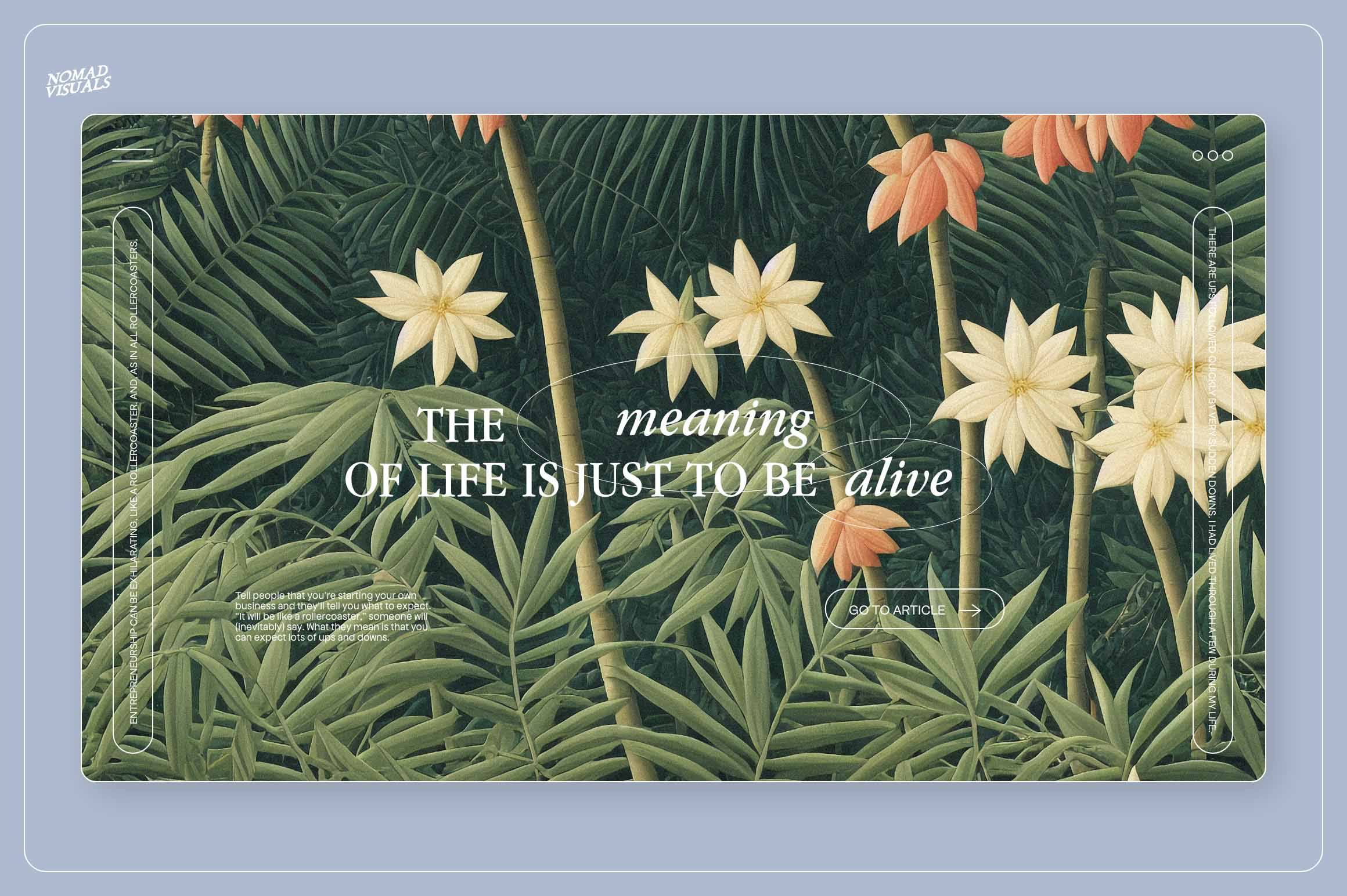 Tropical Dream - Nomad Visuals 6.jpg