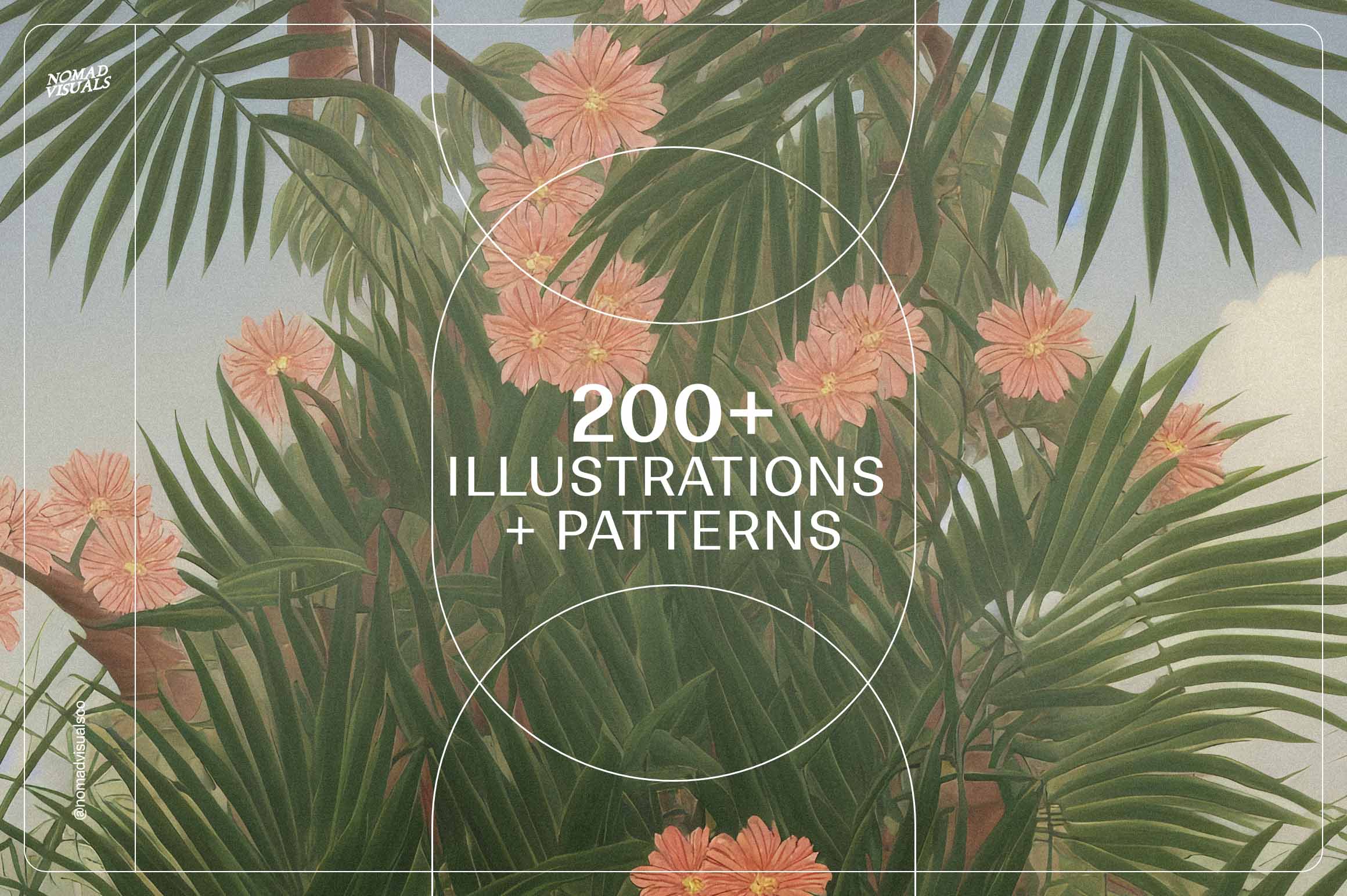 Tropical Dream - Nomad Visuals 7.jpg