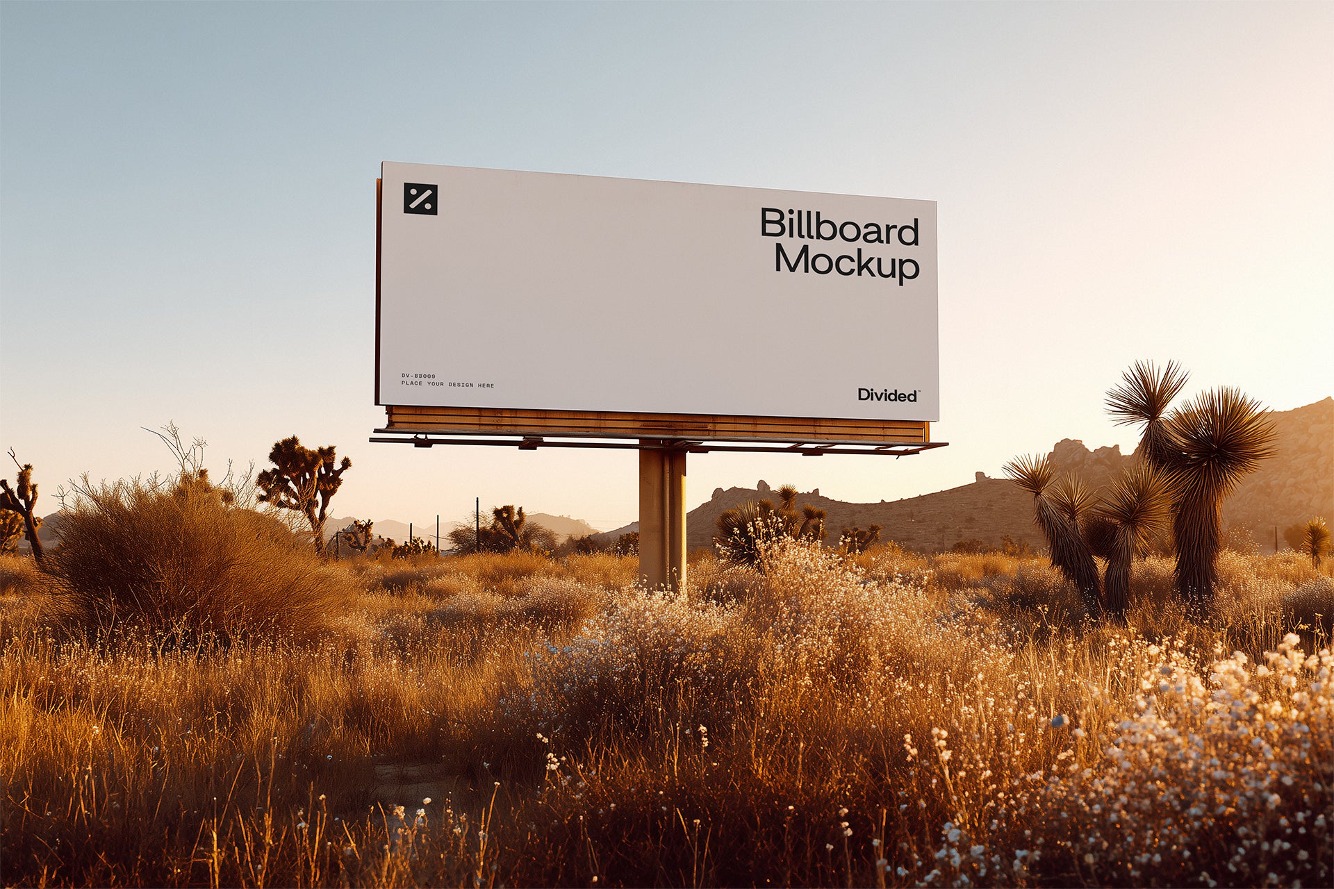 Untitled Product - Divided.co 1.jpg