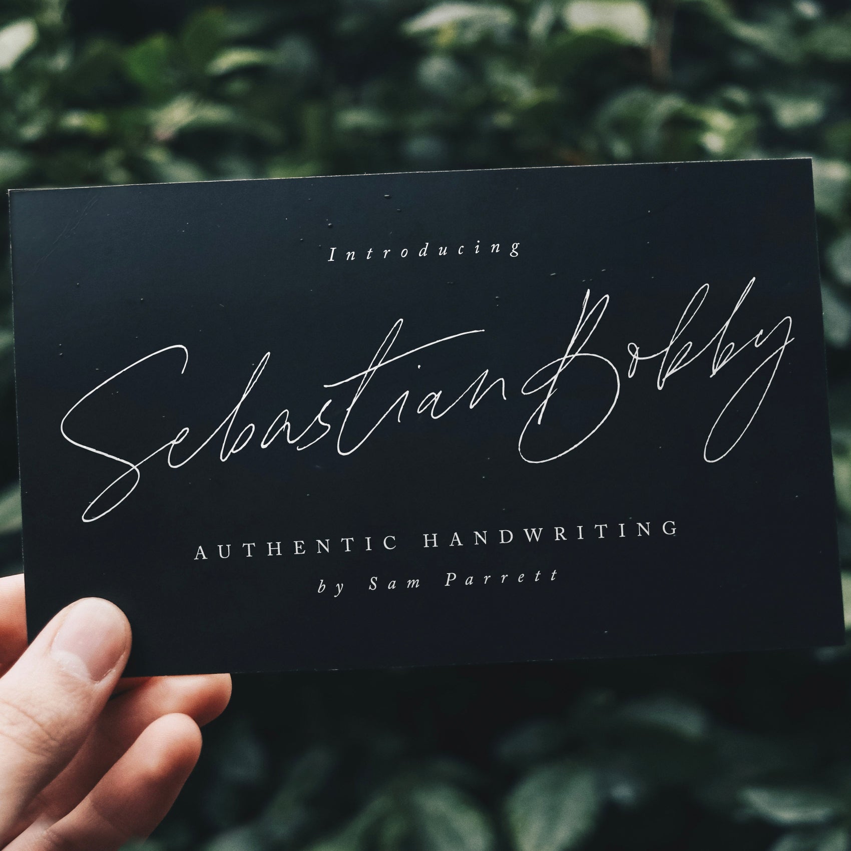 Untitled Product - Set Sail Studios 1.jpg