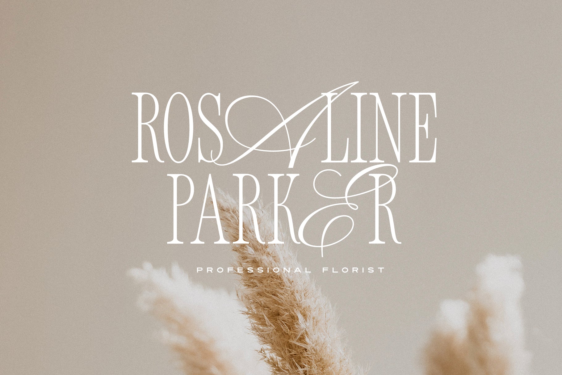 Untitled Product - Set Sail Studios 1.jpg