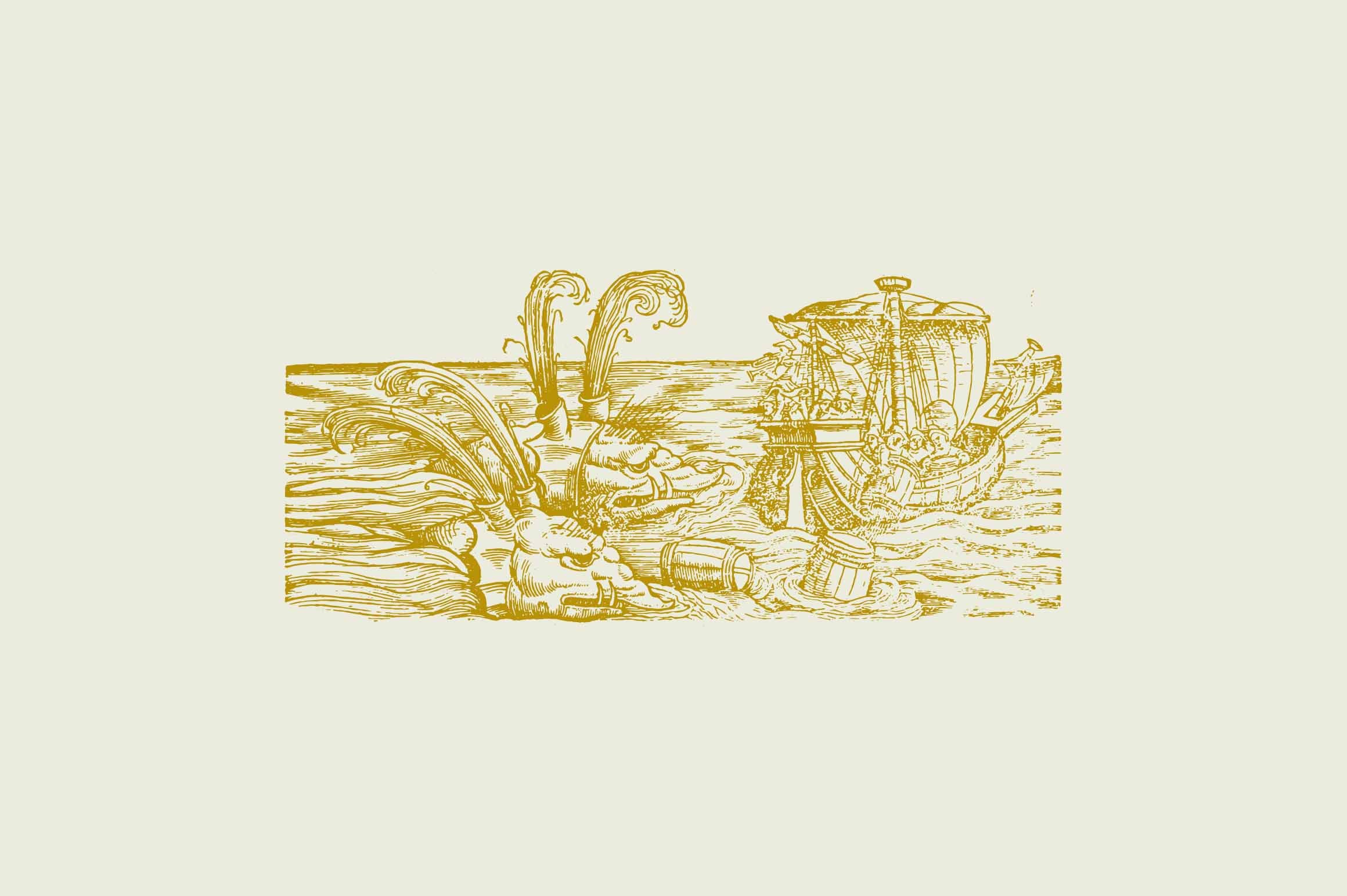 Whales & Sharks - Nomad Visuals 2.jpg