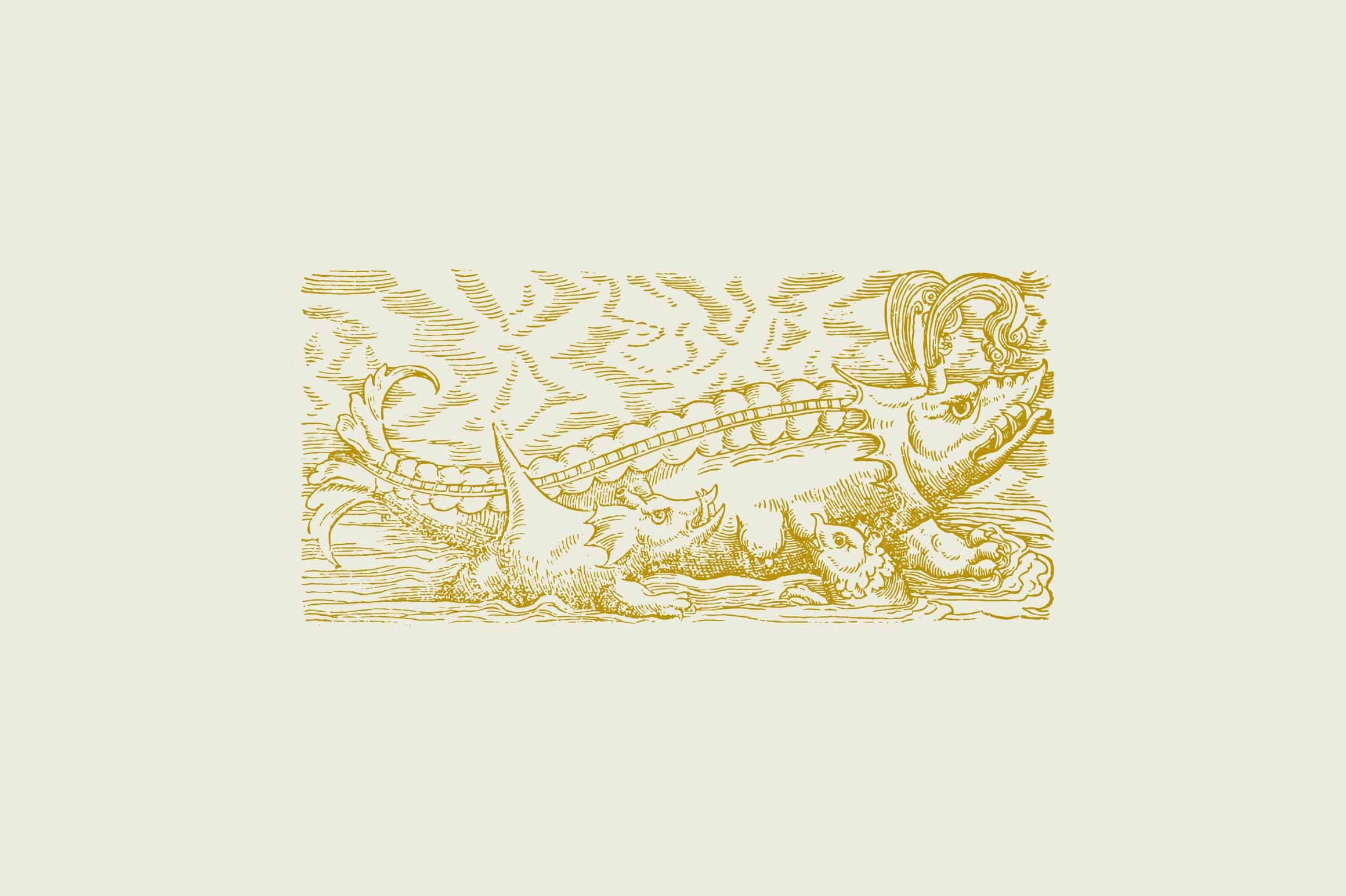 Whales & Sharks - Nomad Visuals 3.jpg