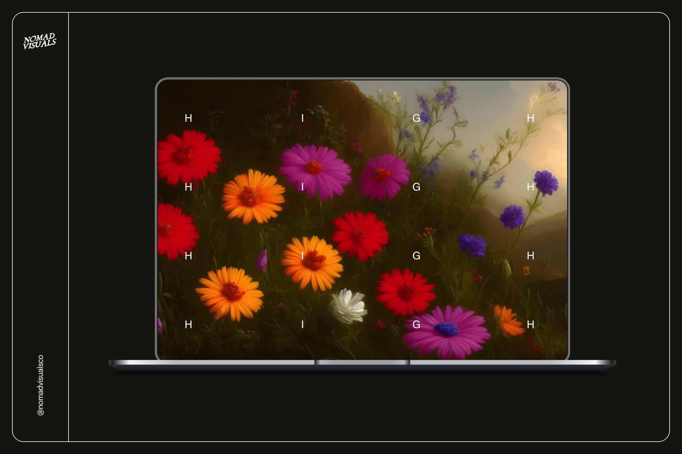 Wildflowers - Nomad Visuals 2.jpg