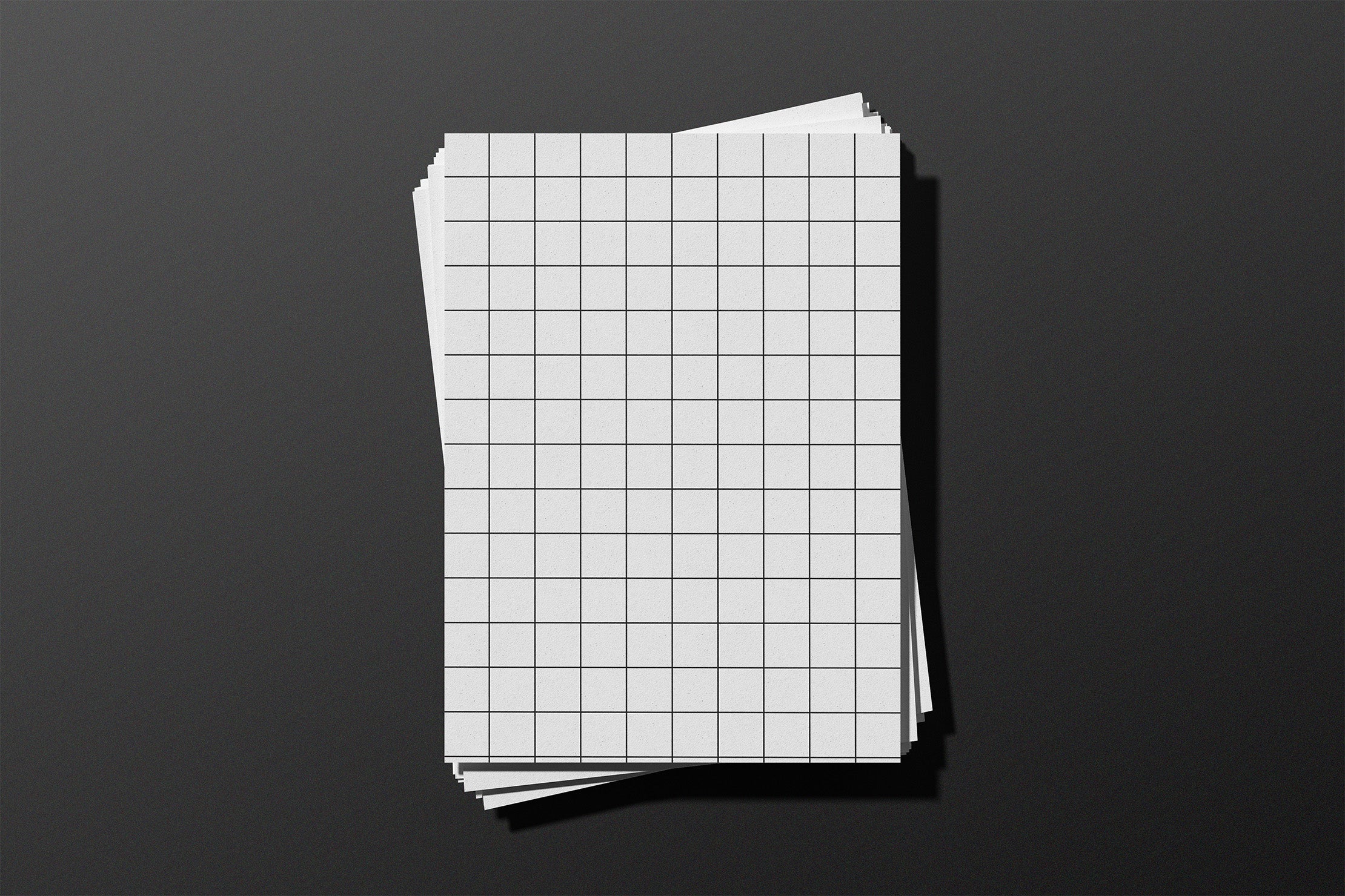 a4-paper-mockup-morrobati-2.jpg