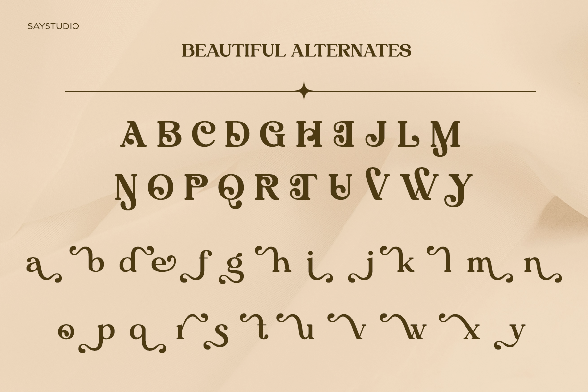 algirae-modern-ornamental-serif-say-studio-9.png