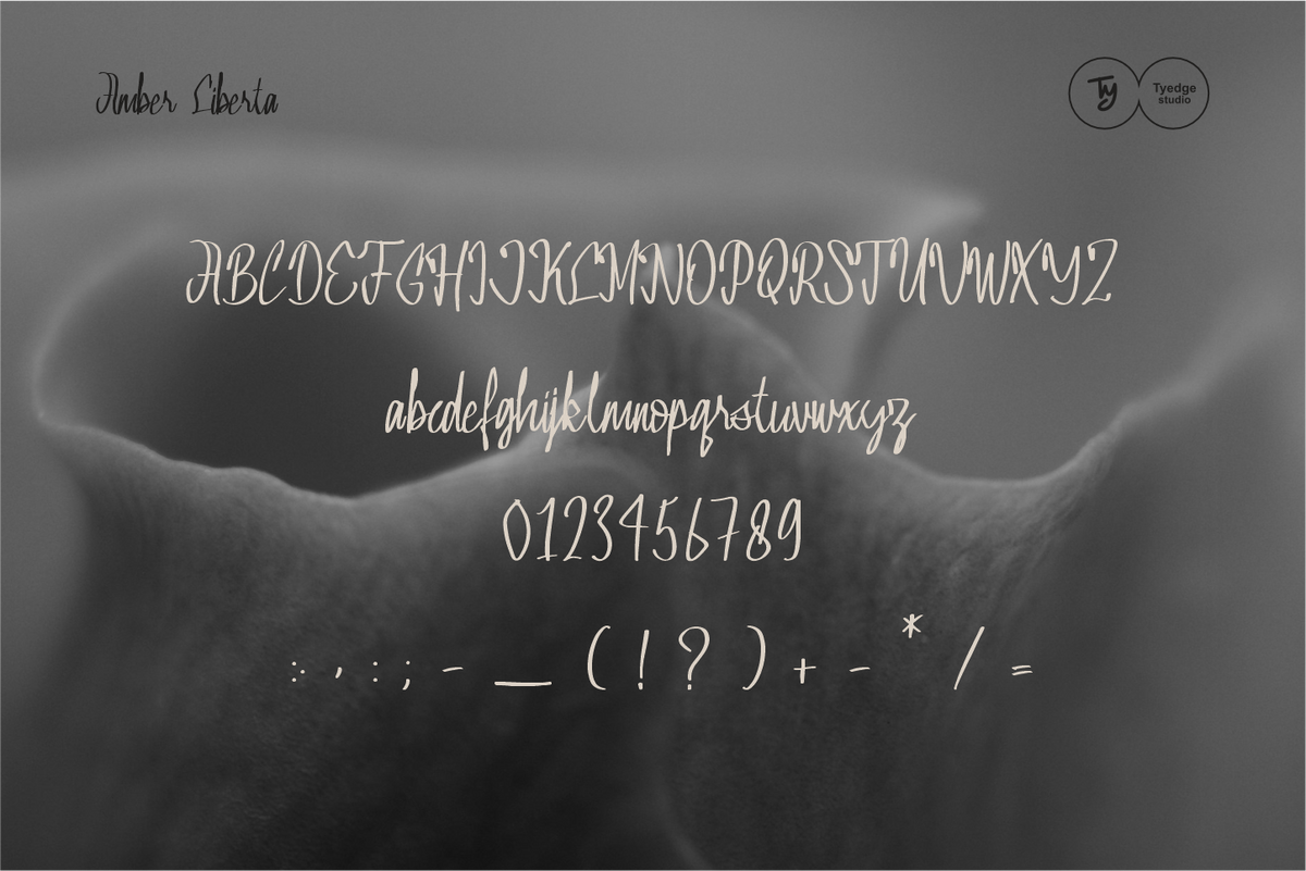 amber-liberta-luxury-script-font-tyedge-studio-5.png