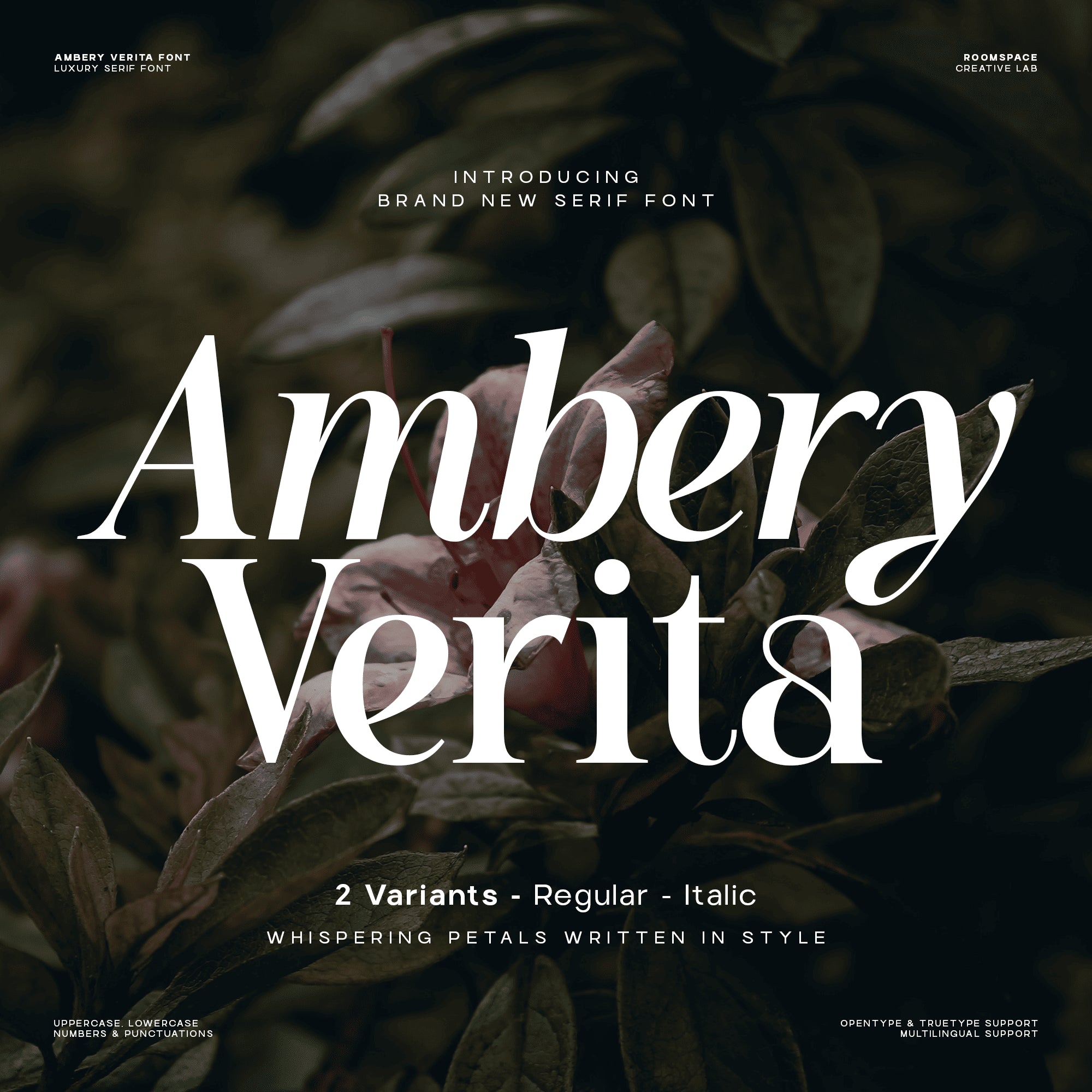 ambery-verita-elegant-modern-serif-typeface-roomspace-creative-lab-1.png