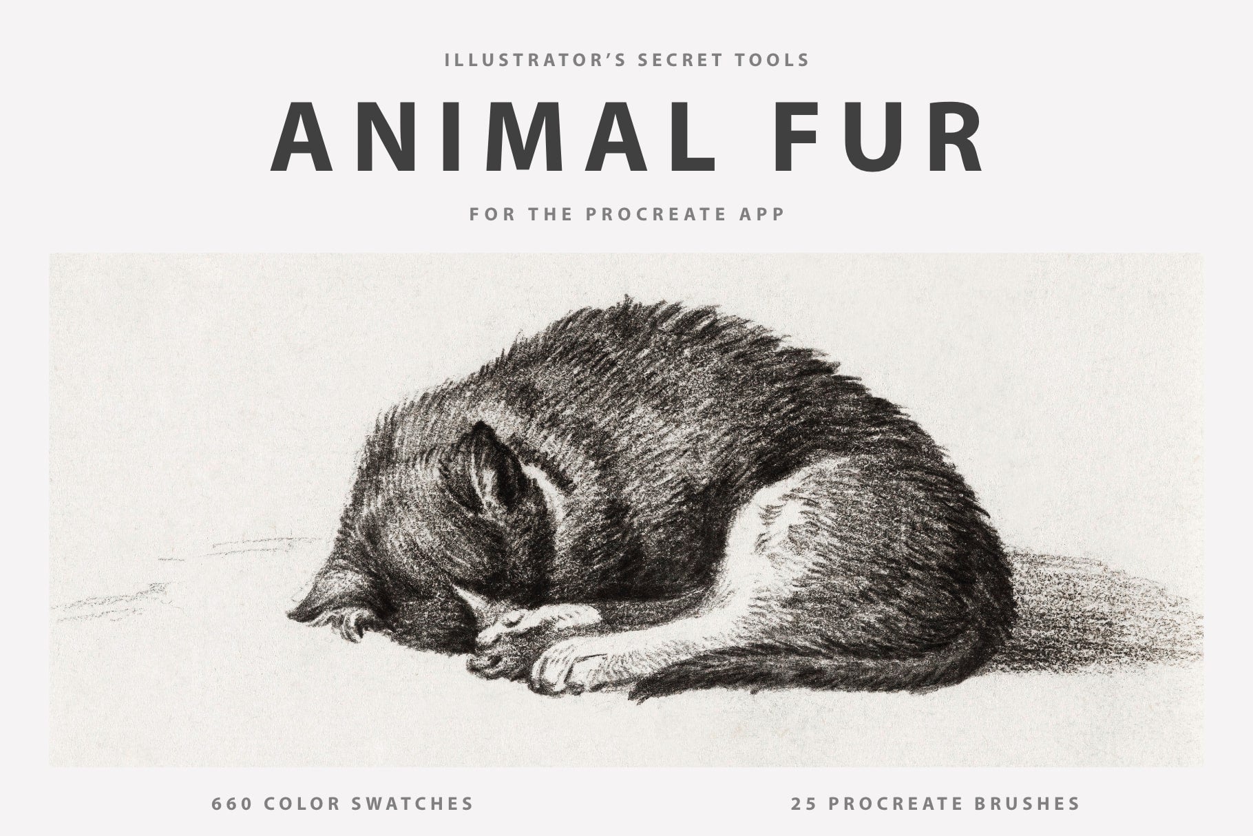 Animal Fur Procreate Kit
